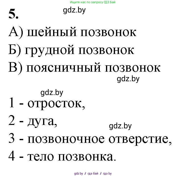 Биология, 9 класс рабочая тетрадь, авторы: Борисов Олег Леонидович, Антипенко Алеся Анатольевна, Мащенко Михаил Васильевич, издательство Аверсэв, Минск, 2019, салатового цвета, страница 42, номер 5, Решение