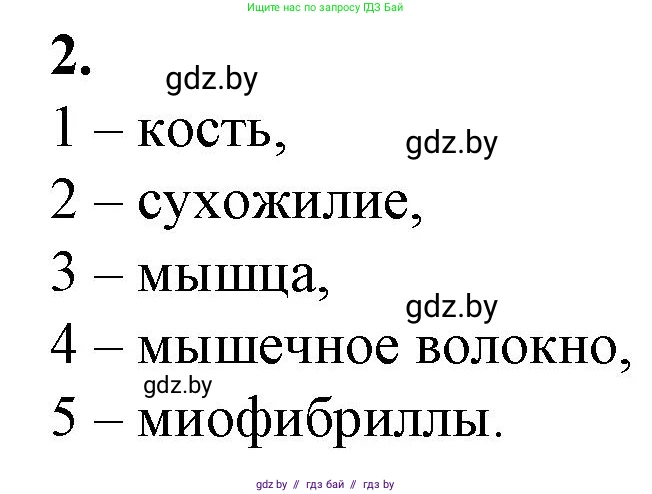 Биология, 9 класс рабочая тетрадь, авторы: Борисов Олег Леонидович, Антипенко Алеся Анатольевна, Мащенко Михаил Васильевич, издательство Аверсэв, Минск, 2019, салатового цвета, страница 46, номер 2, Решение
