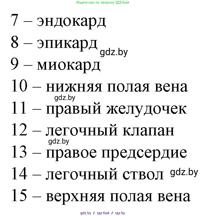Биология, 9 класс рабочая тетрадь, авторы: Борисов Олег Леонидович, Антипенко Алеся Анатольевна, Мащенко Михаил Васильевич, издательство Аверсэв, Минск, 2019, салатового цвета, страница 59, номер 1, Решение (продолжение 2)