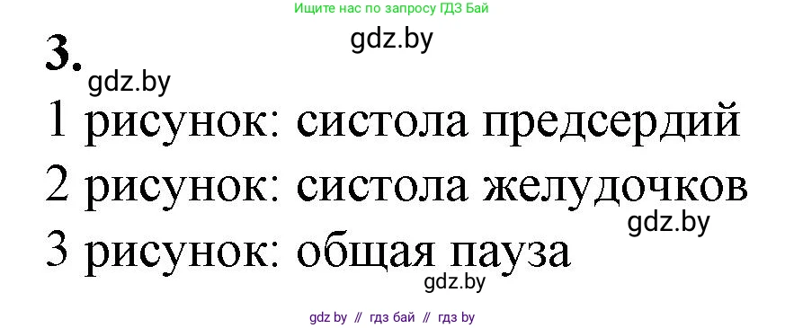 Биология, 9 класс рабочая тетрадь, авторы: Борисов Олег Леонидович, Антипенко Алеся Анатольевна, Мащенко Михаил Васильевич, издательство Аверсэв, Минск, 2019, салатового цвета, страница 60, номер 3, Решение