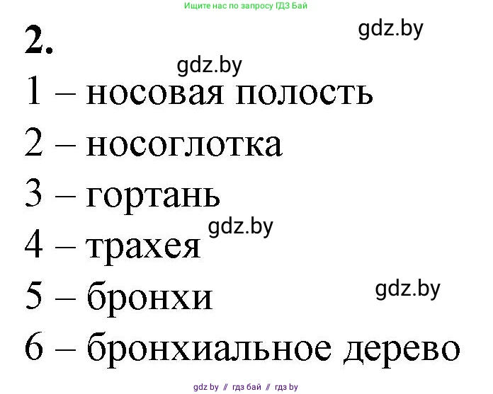 Биология, 9 класс рабочая тетрадь, авторы: Борисов Олег Леонидович, Антипенко Алеся Анатольевна, Мащенко Михаил Васильевич, издательство Аверсэв, Минск, 2019, салатового цвета, страница 68, номер 2, Решение