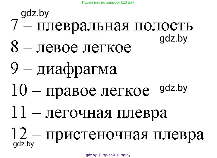 Биология, 9 класс рабочая тетрадь, авторы: Борисов Олег Леонидович, Антипенко Алеся Анатольевна, Мащенко Михаил Васильевич, издательство Аверсэв, Минск, 2019, салатового цвета, страница 68, номер 2, Решение (продолжение 2)