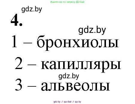 Биология, 9 класс рабочая тетрадь, авторы: Борисов Олег Леонидович, Антипенко Алеся Анатольевна, Мащенко Михаил Васильевич, издательство Аверсэв, Минск, 2019, салатового цвета, страница 69, номер 4, Решение