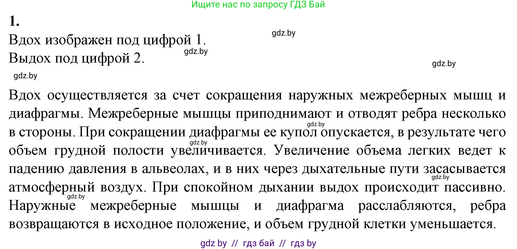 Биология, 9 класс рабочая тетрадь, авторы: Борисов Олег Леонидович, Антипенко Алеся Анатольевна, Мащенко Михаил Васильевич, издательство Аверсэв, Минск, 2019, салатового цвета, страница 70, номер 1, Решение