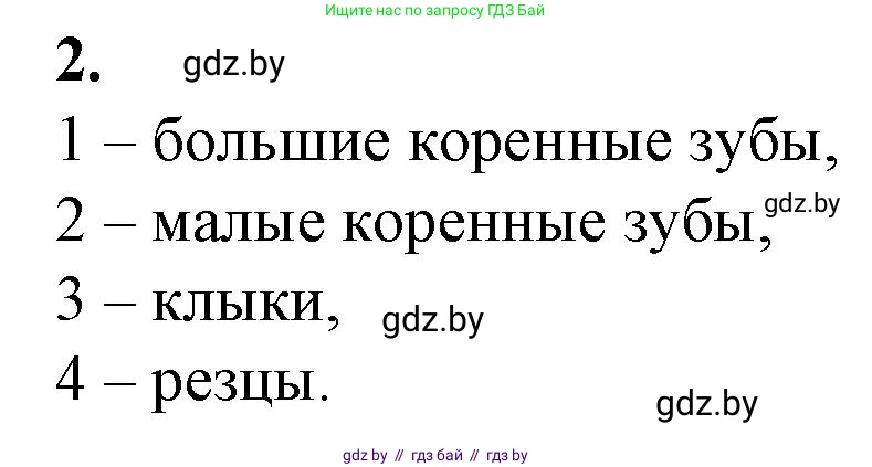 Биология, 9 класс рабочая тетрадь, авторы: Борисов Олег Леонидович, Антипенко Алеся Анатольевна, Мащенко Михаил Васильевич, издательство Аверсэв, Минск, 2019, салатового цвета, страница 84, номер 2, Решение