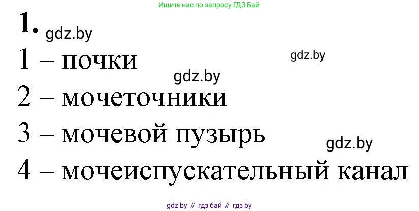 Биология, 9 класс рабочая тетрадь, авторы: Борисов Олег Леонидович, Антипенко Алеся Анатольевна, Мащенко Михаил Васильевич, издательство Аверсэв, Минск, 2019, салатового цвета, страница 92, номер 1, Решение