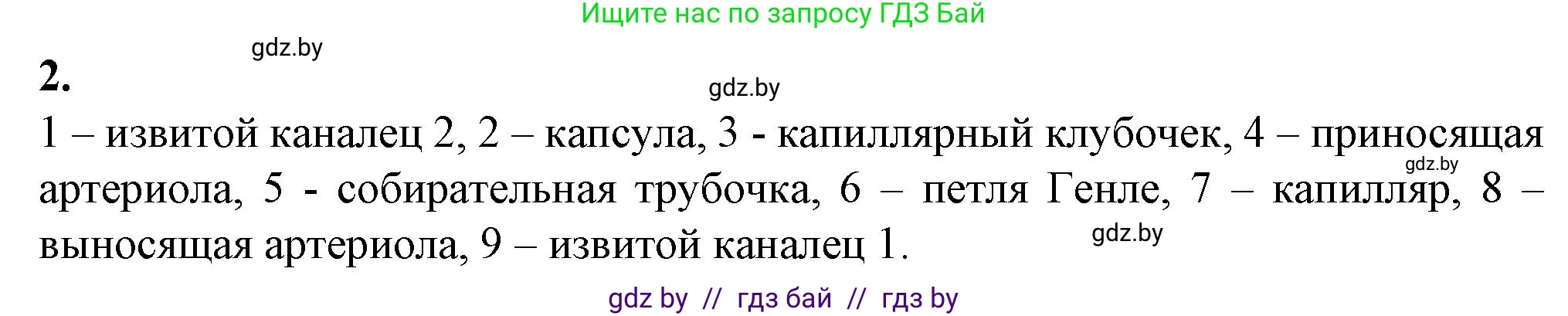 Биология, 9 класс рабочая тетрадь, авторы: Борисов Олег Леонидович, Антипенко Алеся Анатольевна, Мащенко Михаил Васильевич, издательство Аверсэв, Минск, 2019, салатового цвета, страница 93, номер 2, Решение