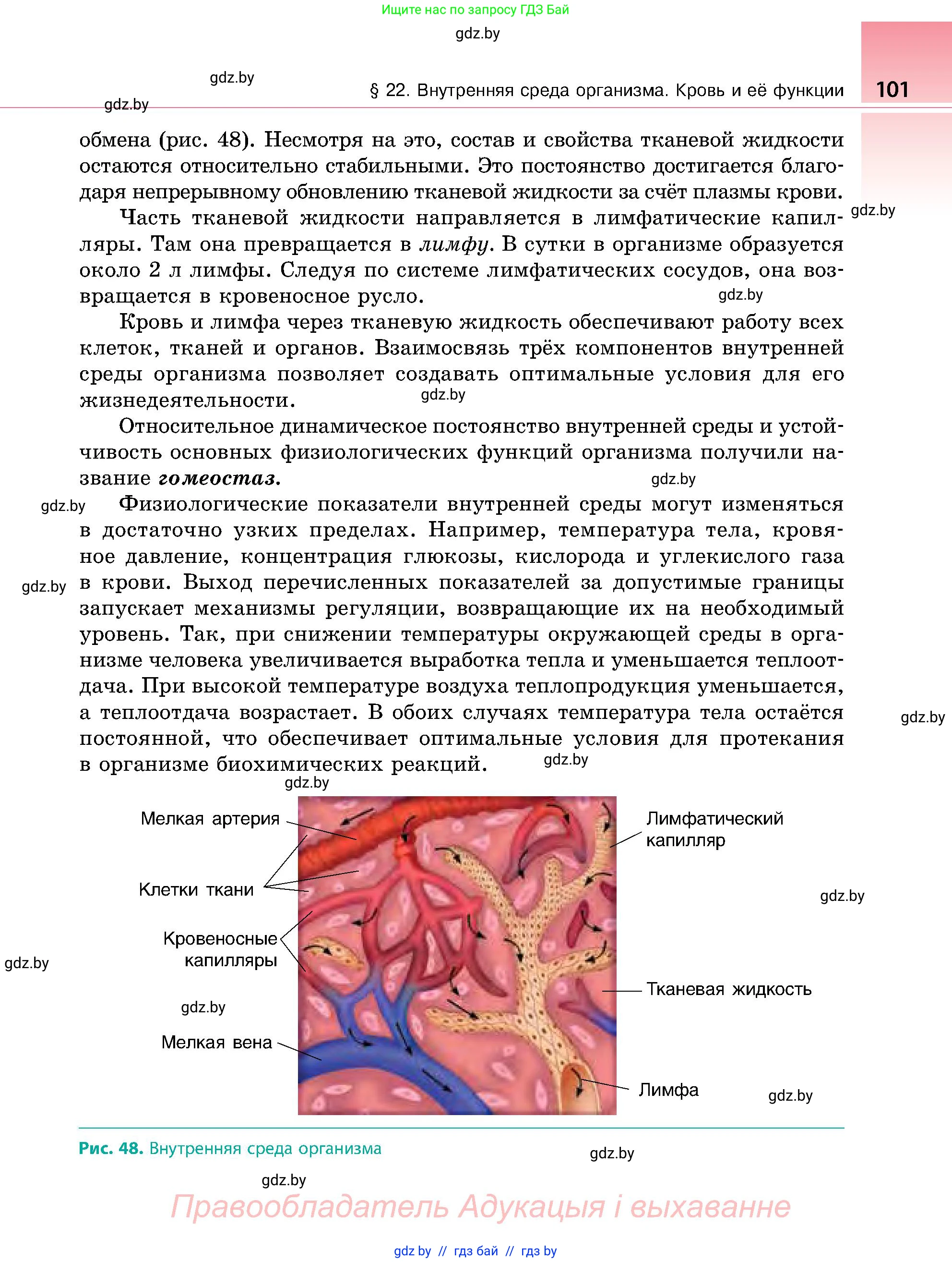 Биология, 9 класс Учебник, авторы: Борисов Олег Леонидович, Антипенко Алеся Анатольевна, Рогожников Олег Николаевич, издательство Адукацыя i выхаванне, Минск, 2025, бирюзового цвета, страница 101