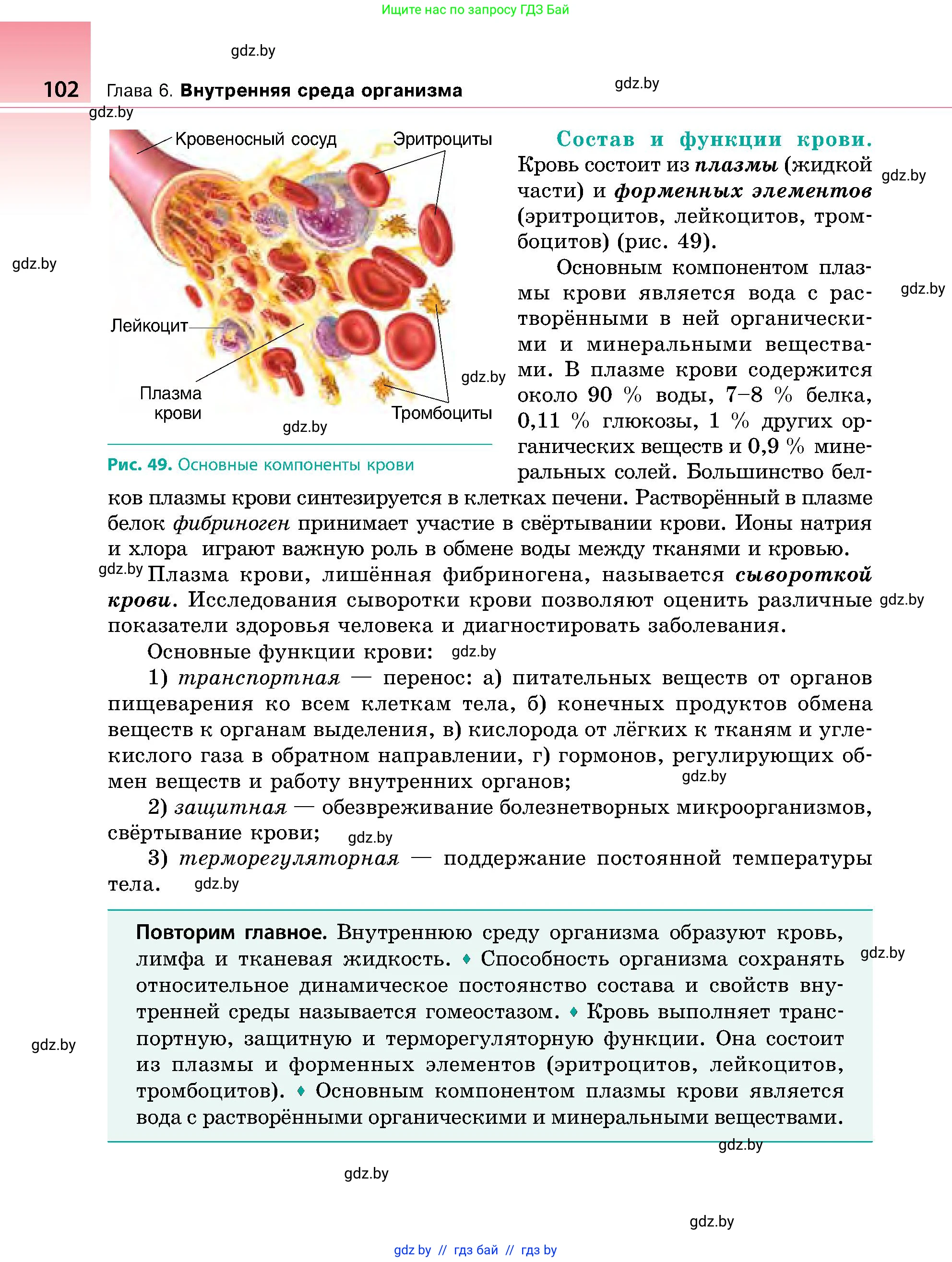 Биология, 9 класс Учебник, авторы: Борисов Олег Леонидович, Антипенко Алеся Анатольевна, Рогожников Олег Николаевич, издательство Адукацыя i выхаванне, Минск, 2025, бирюзового цвета, страница 102