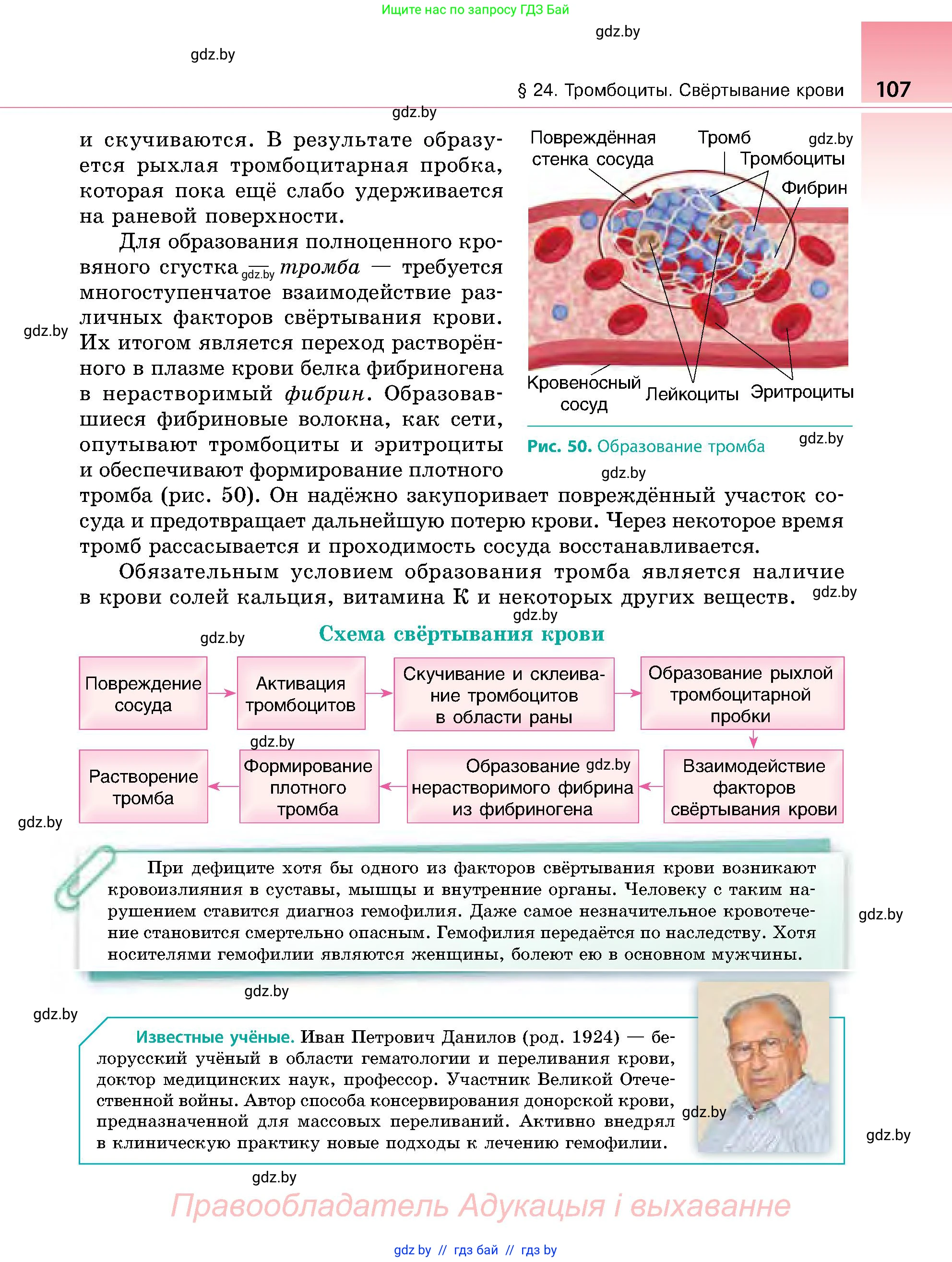 Биология, 9 класс Учебник, авторы: Борисов Олег Леонидович, Антипенко Алеся Анатольевна, Рогожников Олег Николаевич, издательство Адукацыя i выхаванне, Минск, 2025, бирюзового цвета, страница 107