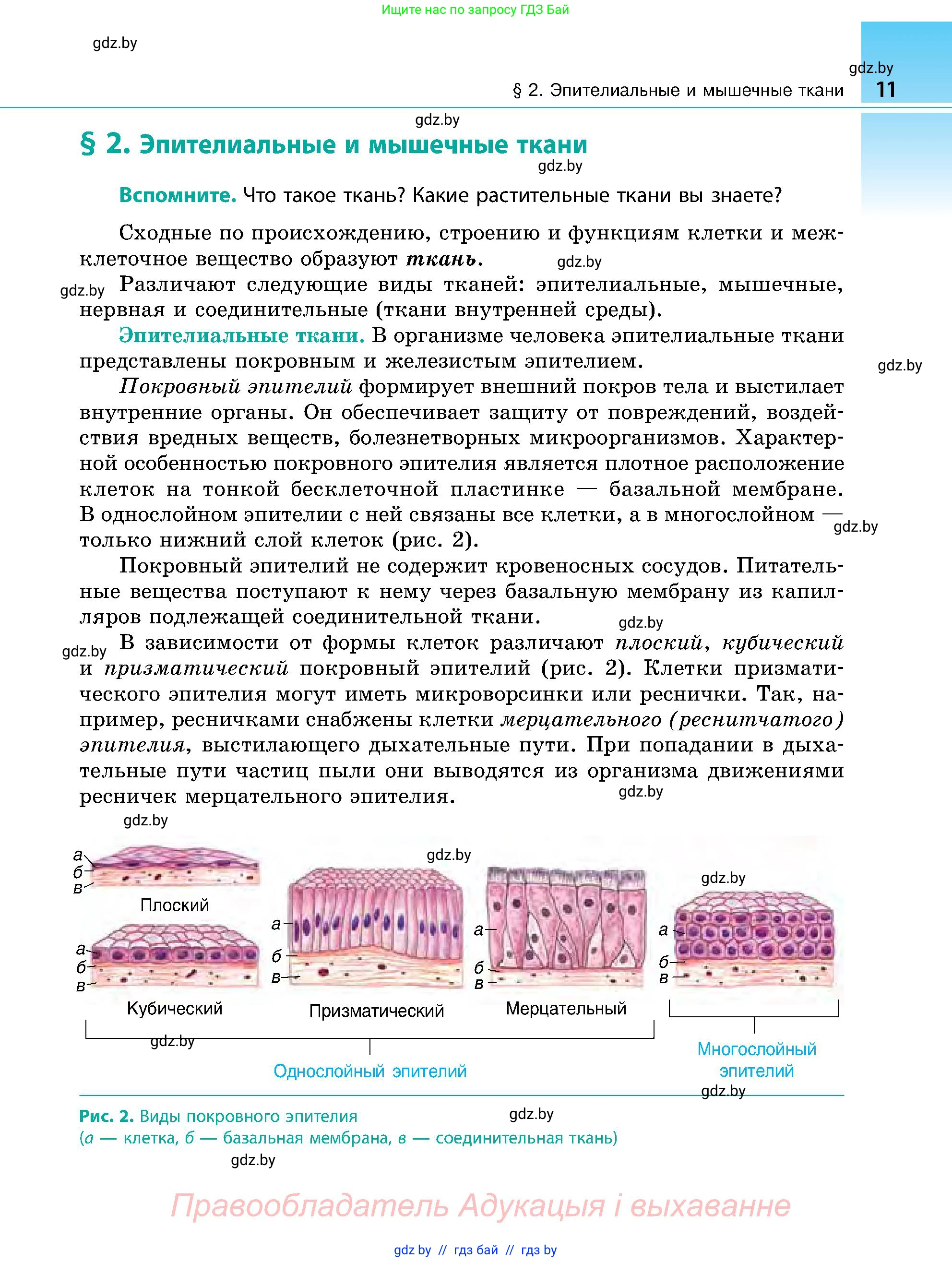 Биология, 9 класс Учебник, авторы: Борисов Олег Леонидович, Антипенко Алеся Анатольевна, Рогожников Олег Николаевич, издательство Адукацыя i выхаванне, Минск, 2025, бирюзового цвета, страница 11