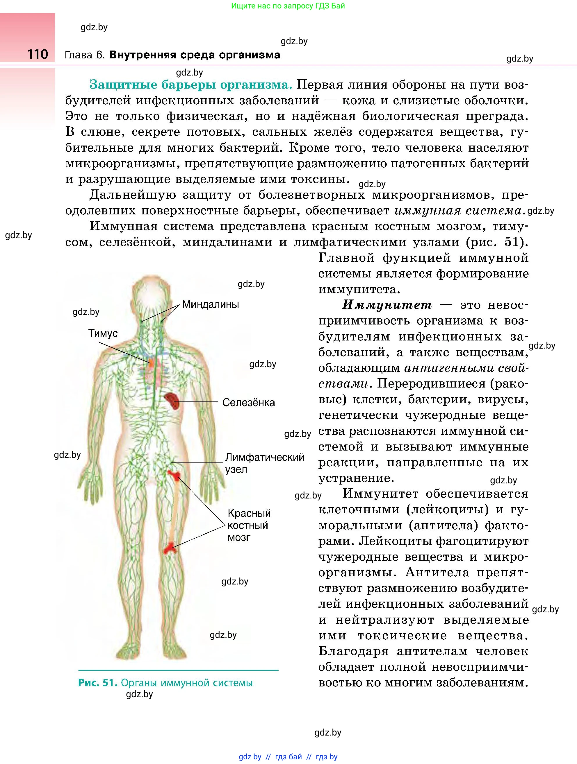 Биология, 9 класс Учебник, авторы: Борисов Олег Леонидович, Антипенко Алеся Анатольевна, Рогожников Олег Николаевич, издательство Адукацыя i выхаванне, Минск, 2025, бирюзового цвета, страница 110