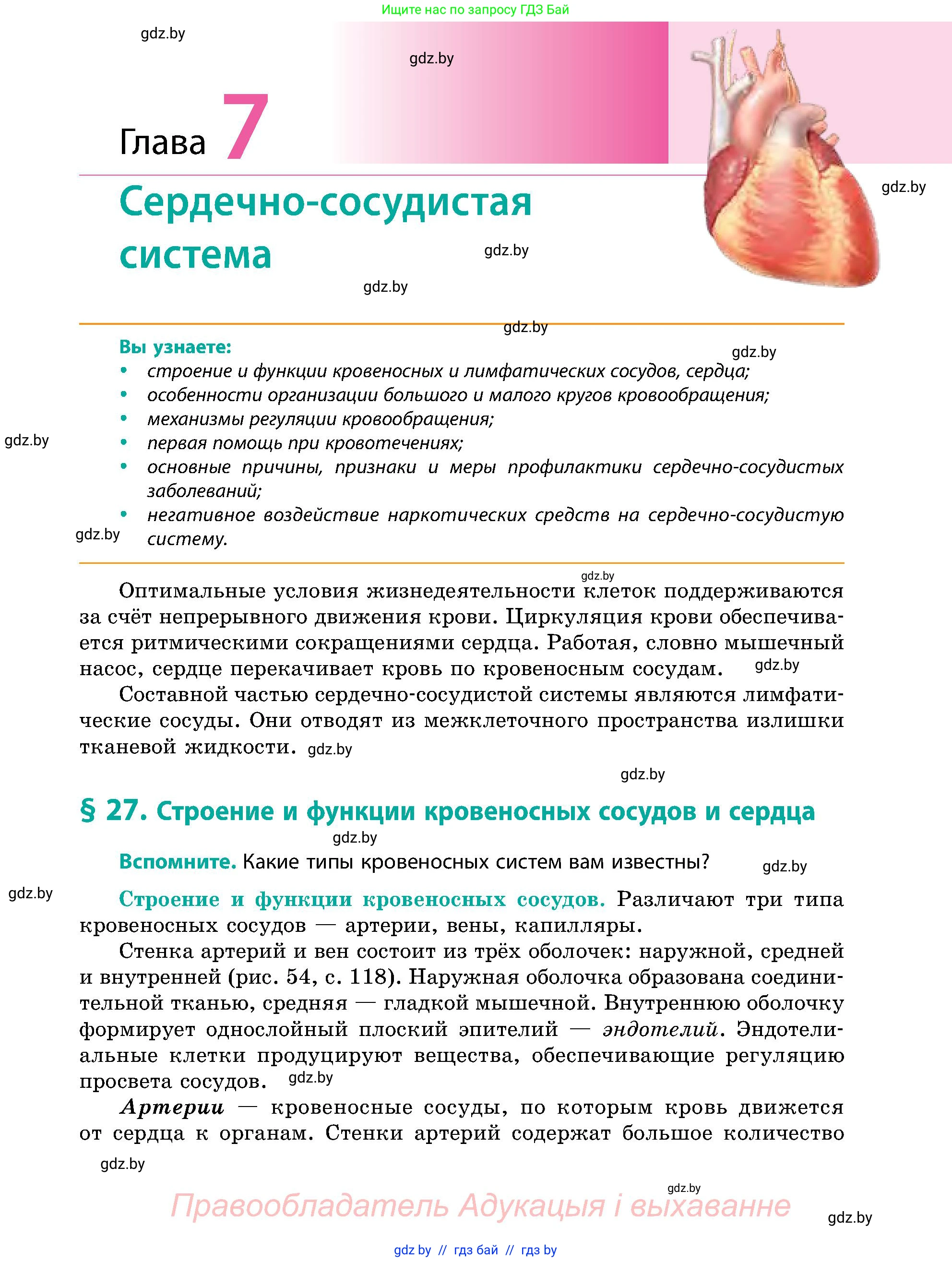 Биология, 9 класс Учебник, авторы: Борисов Олег Леонидович, Антипенко Алеся Анатольевна, Рогожников Олег Николаевич, издательство Адукацыя i выхаванне, Минск, 2025, бирюзового цвета, страница 117