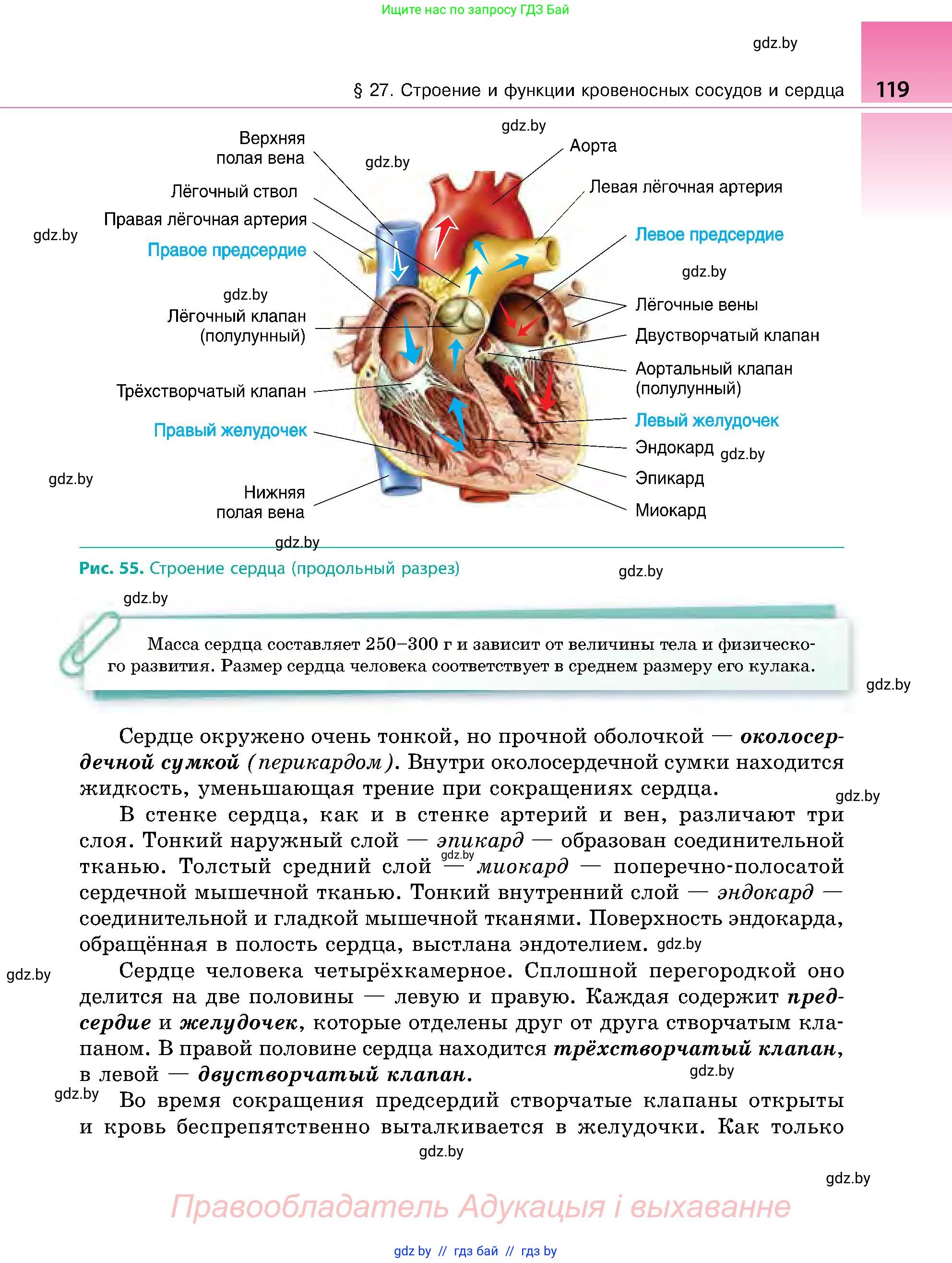 Биология, 9 класс Учебник, авторы: Борисов Олег Леонидович, Антипенко Алеся Анатольевна, Рогожников Олег Николаевич, издательство Адукацыя i выхаванне, Минск, 2025, бирюзового цвета, страница 119