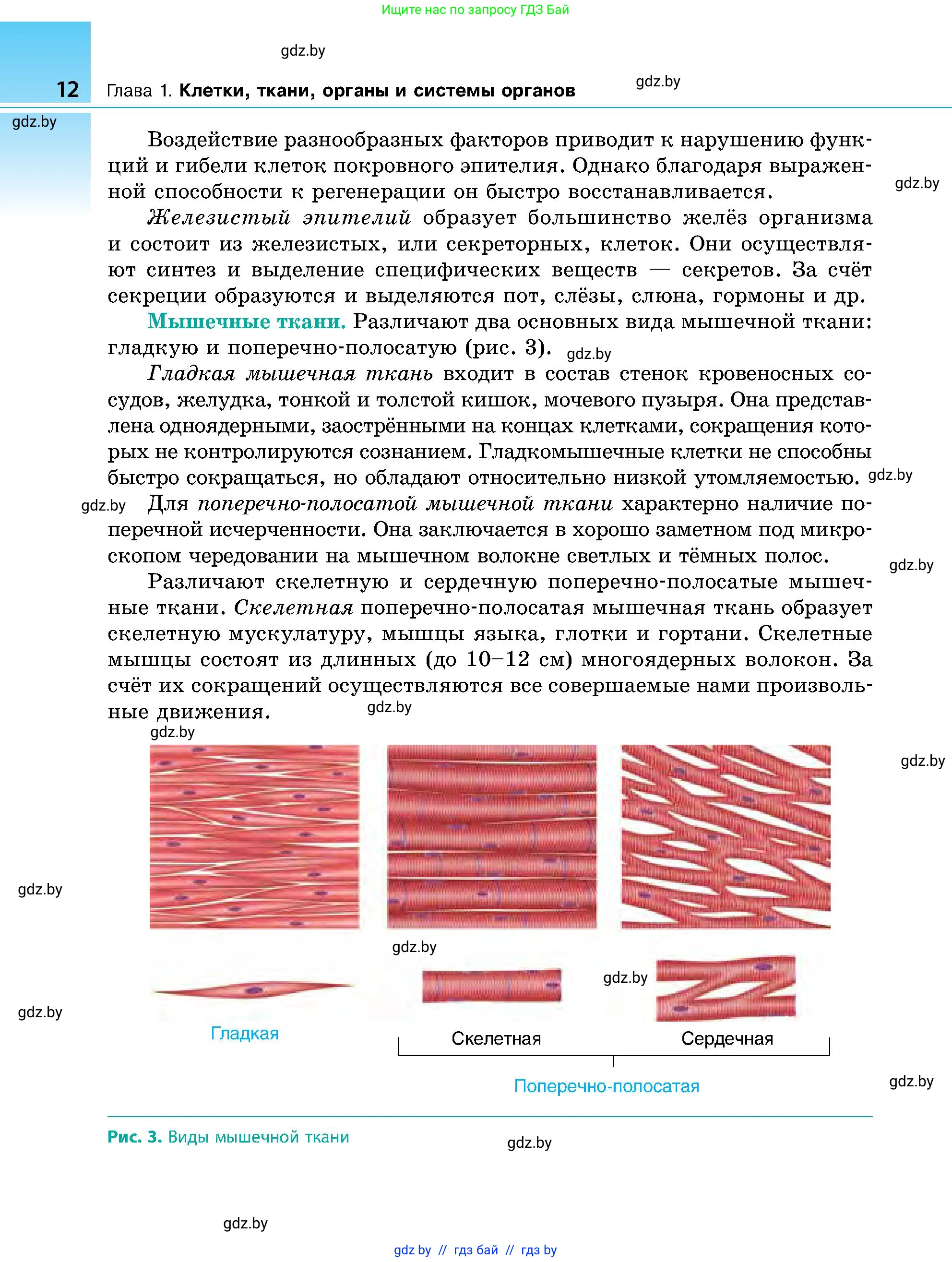 Биология, 9 класс Учебник, авторы: Борисов Олег Леонидович, Антипенко Алеся Анатольевна, Рогожников Олег Николаевич, издательство Адукацыя i выхаванне, Минск, 2025, бирюзового цвета, страница 12