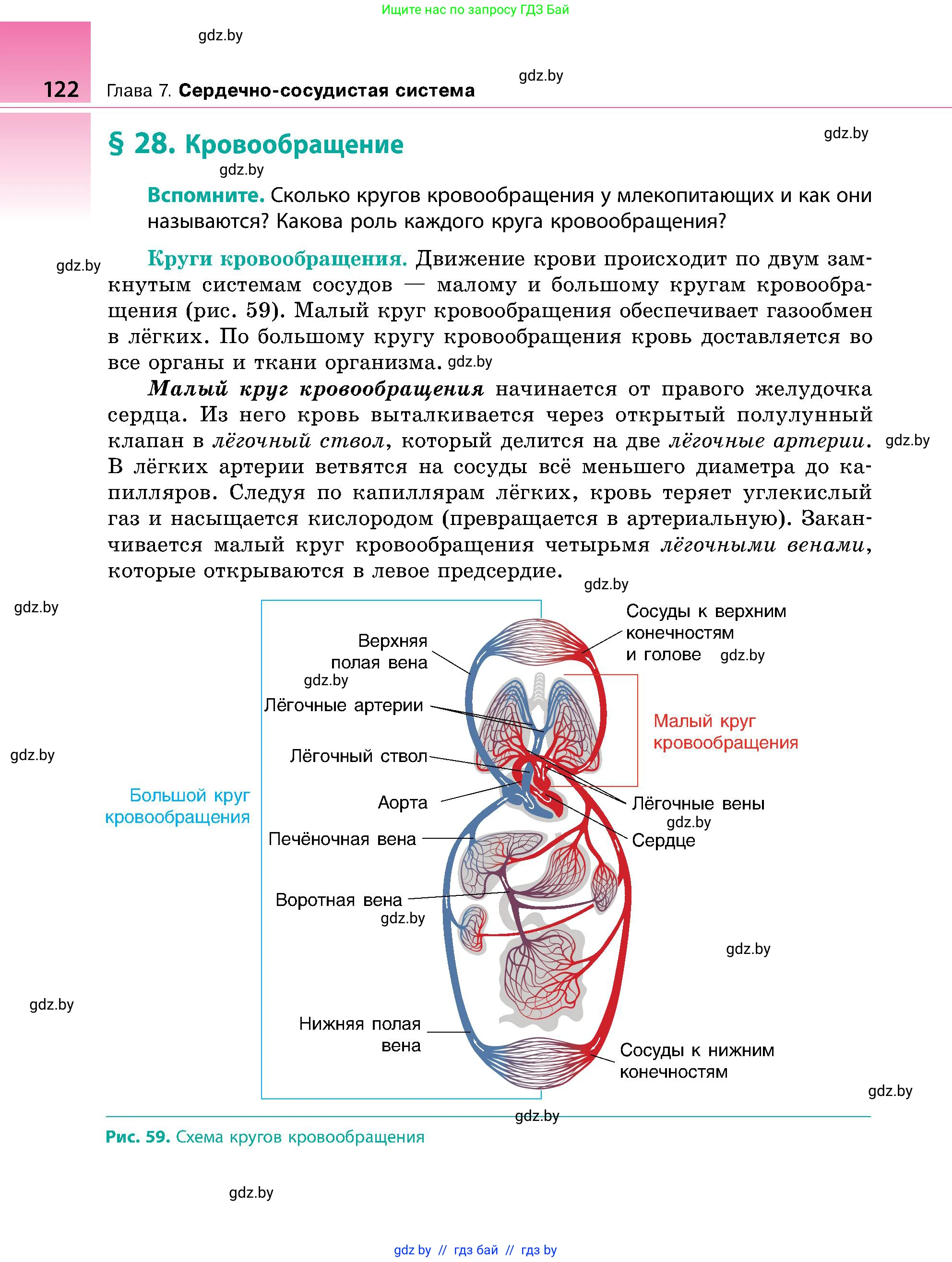 Биология, 9 класс Учебник, авторы: Борисов Олег Леонидович, Антипенко Алеся Анатольевна, Рогожников Олег Николаевич, издательство Адукацыя i выхаванне, Минск, 2025, бирюзового цвета, страница 122