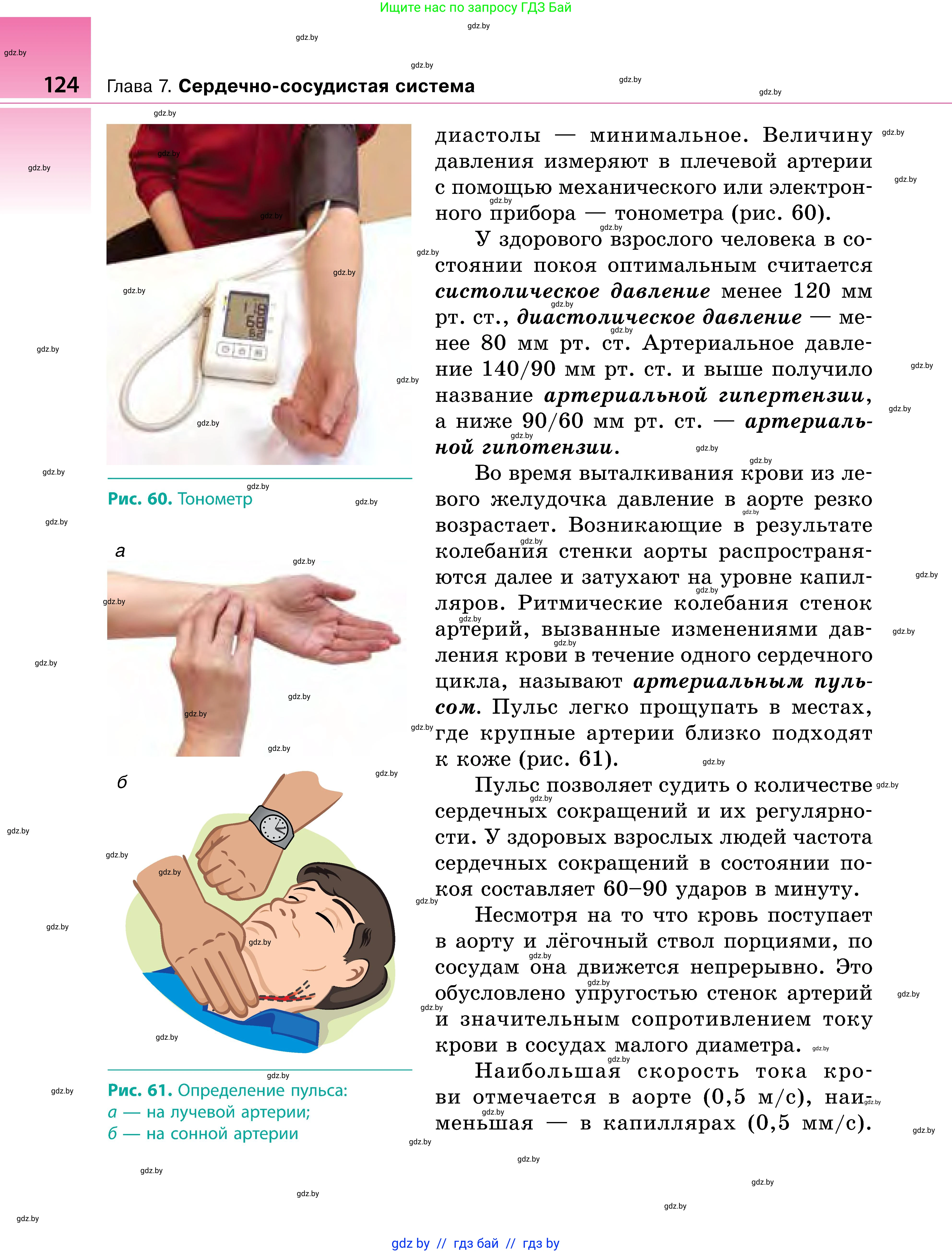 Биология, 9 класс Учебник, авторы: Борисов Олег Леонидович, Антипенко Алеся Анатольевна, Рогожников Олег Николаевич, издательство Адукацыя i выхаванне, Минск, 2025, бирюзового цвета, страница 124