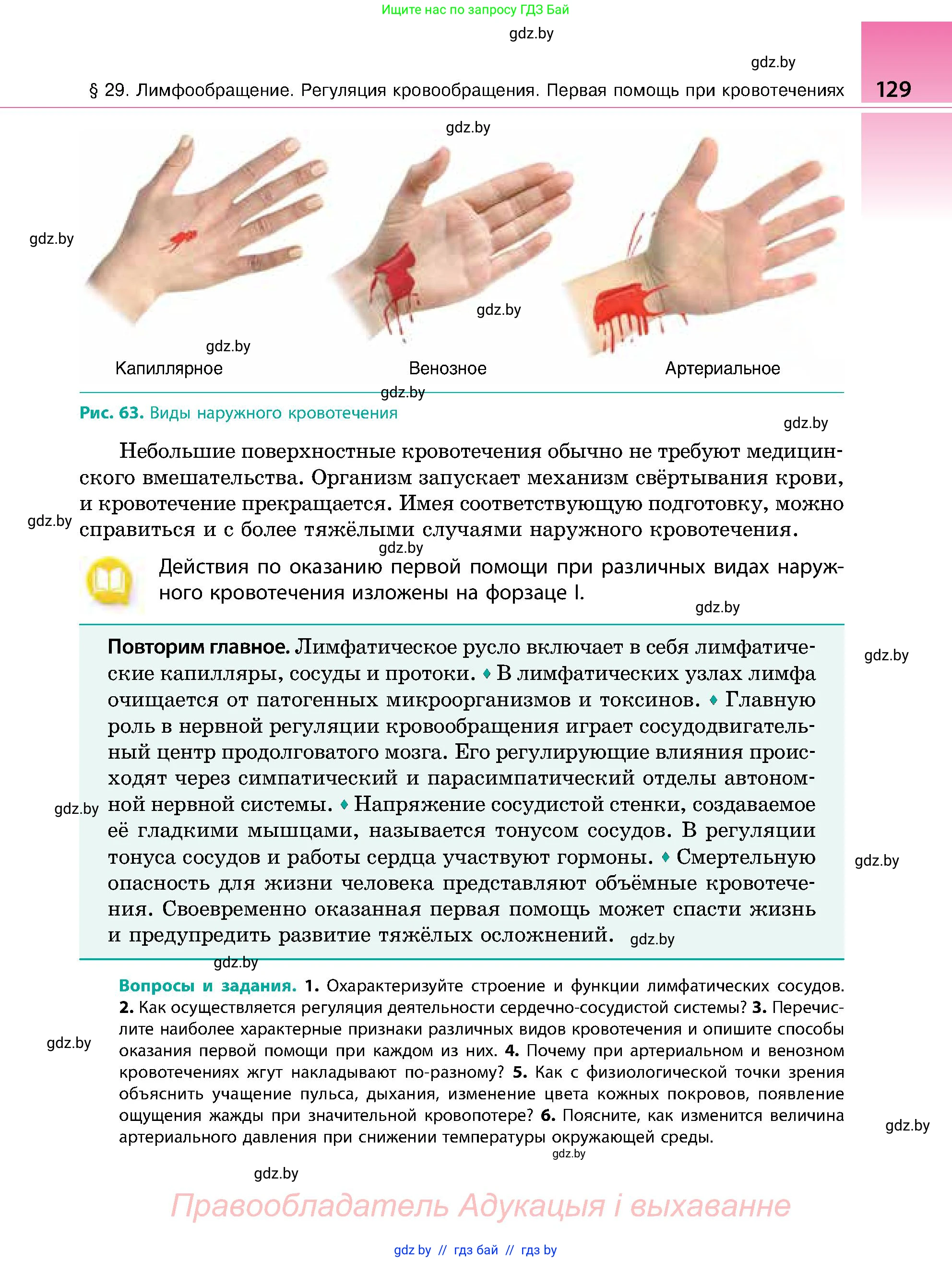 Биология, 9 класс Учебник, авторы: Борисов Олег Леонидович, Антипенко Алеся Анатольевна, Рогожников Олег Николаевич, издательство Адукацыя i выхаванне, Минск, 2025, бирюзового цвета, страница 129