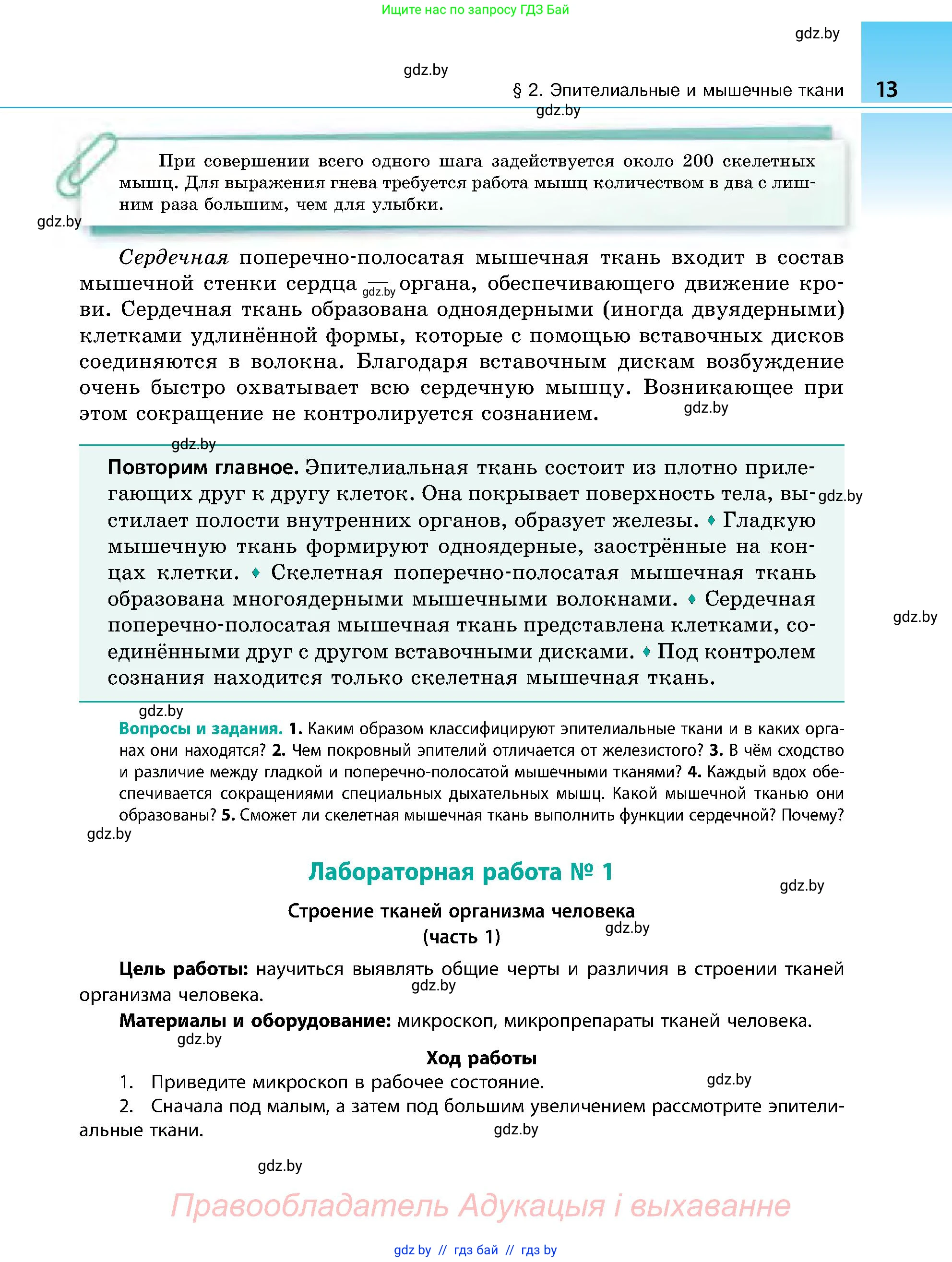 Биология, 9 класс Учебник, авторы: Борисов Олег Леонидович, Антипенко Алеся Анатольевна, Рогожников Олег Николаевич, издательство Адукацыя i выхаванне, Минск, 2025, бирюзового цвета, страница 13