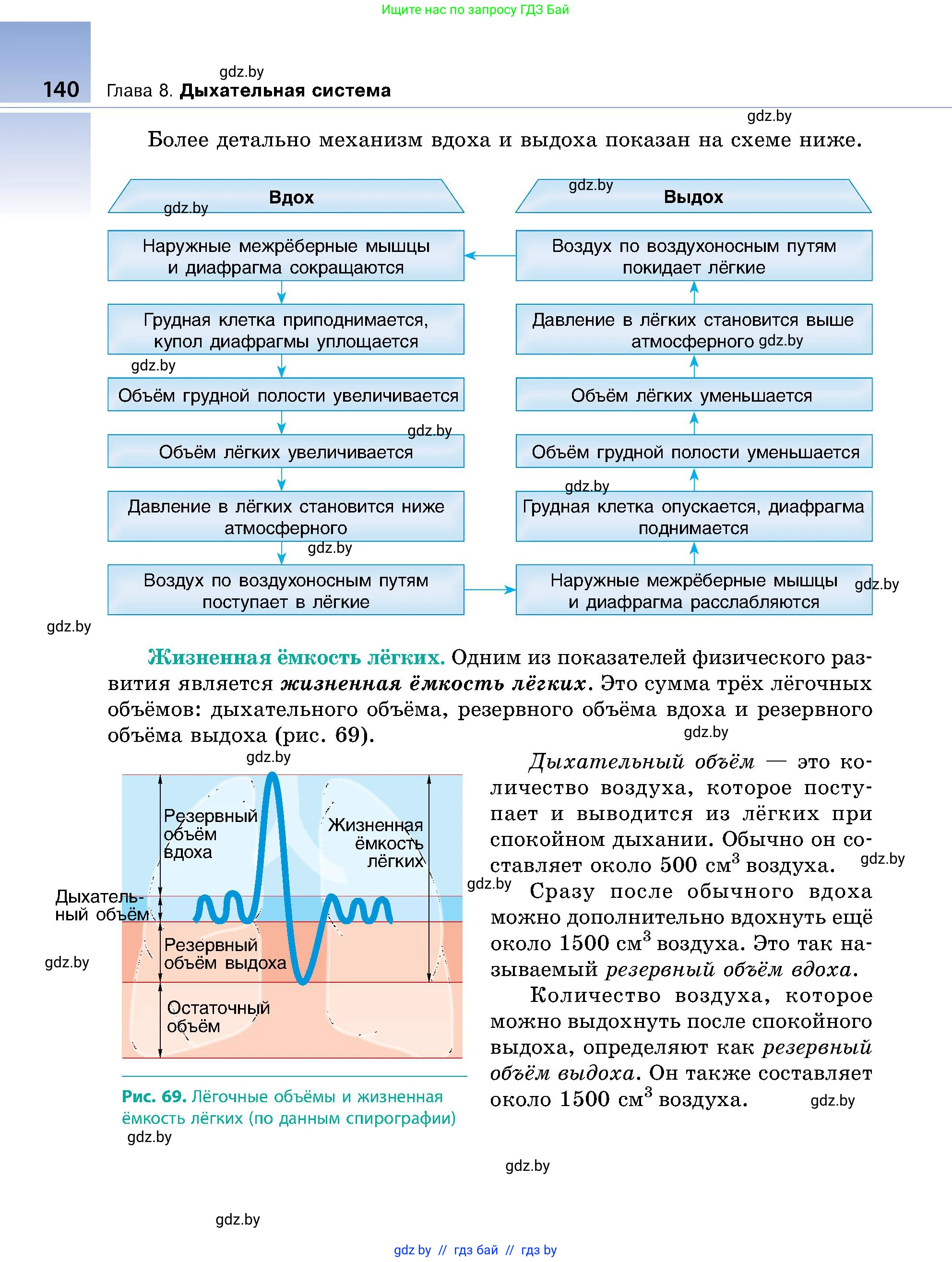Биология, 9 класс Учебник, авторы: Борисов Олег Леонидович, Антипенко Алеся Анатольевна, Рогожников Олег Николаевич, издательство Адукацыя i выхаванне, Минск, 2025, бирюзового цвета, страница 140