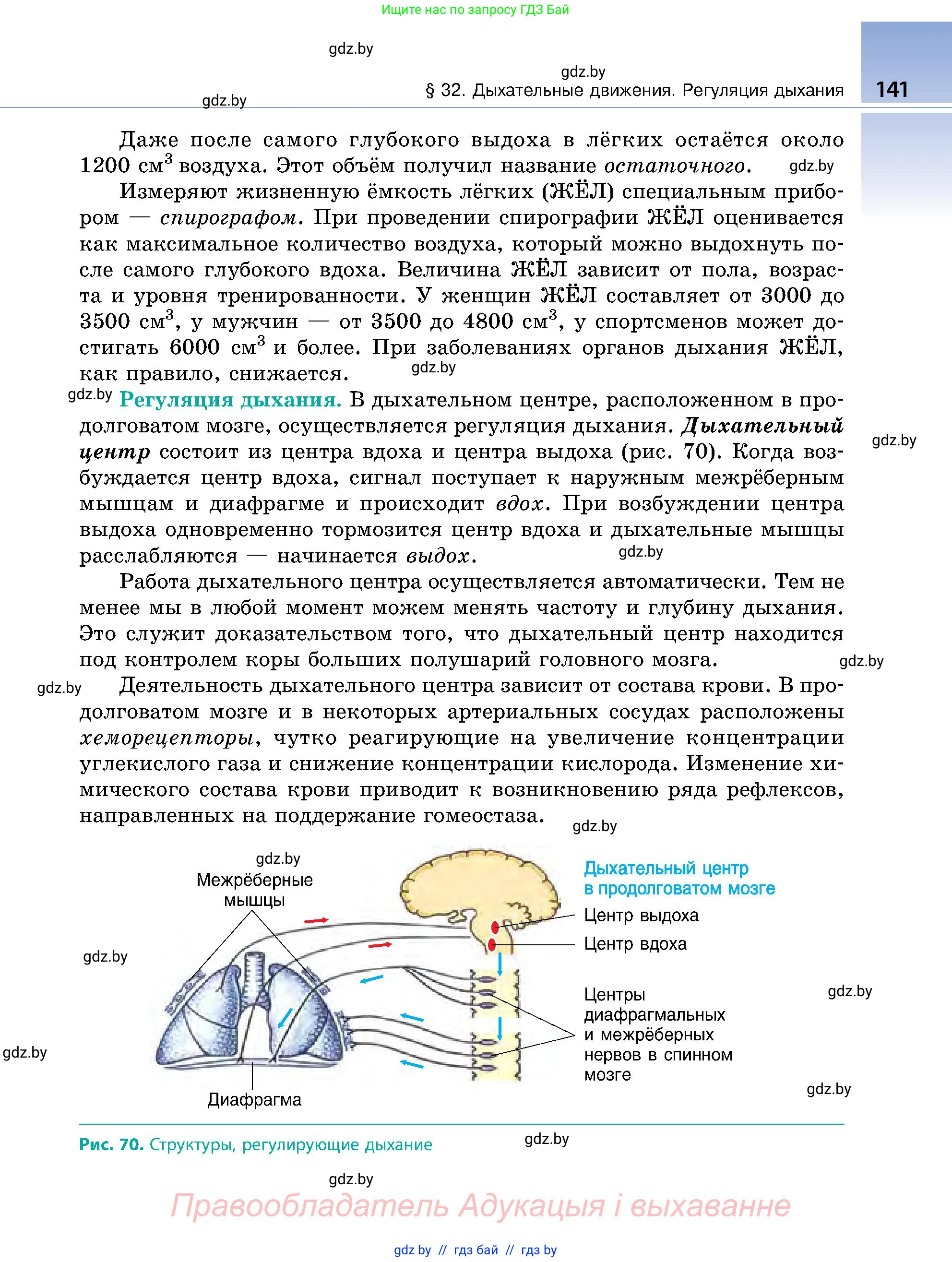 Биология, 9 класс Учебник, авторы: Борисов Олег Леонидович, Антипенко Алеся Анатольевна, Рогожников Олег Николаевич, издательство Адукацыя i выхаванне, Минск, 2025, бирюзового цвета, страница 141