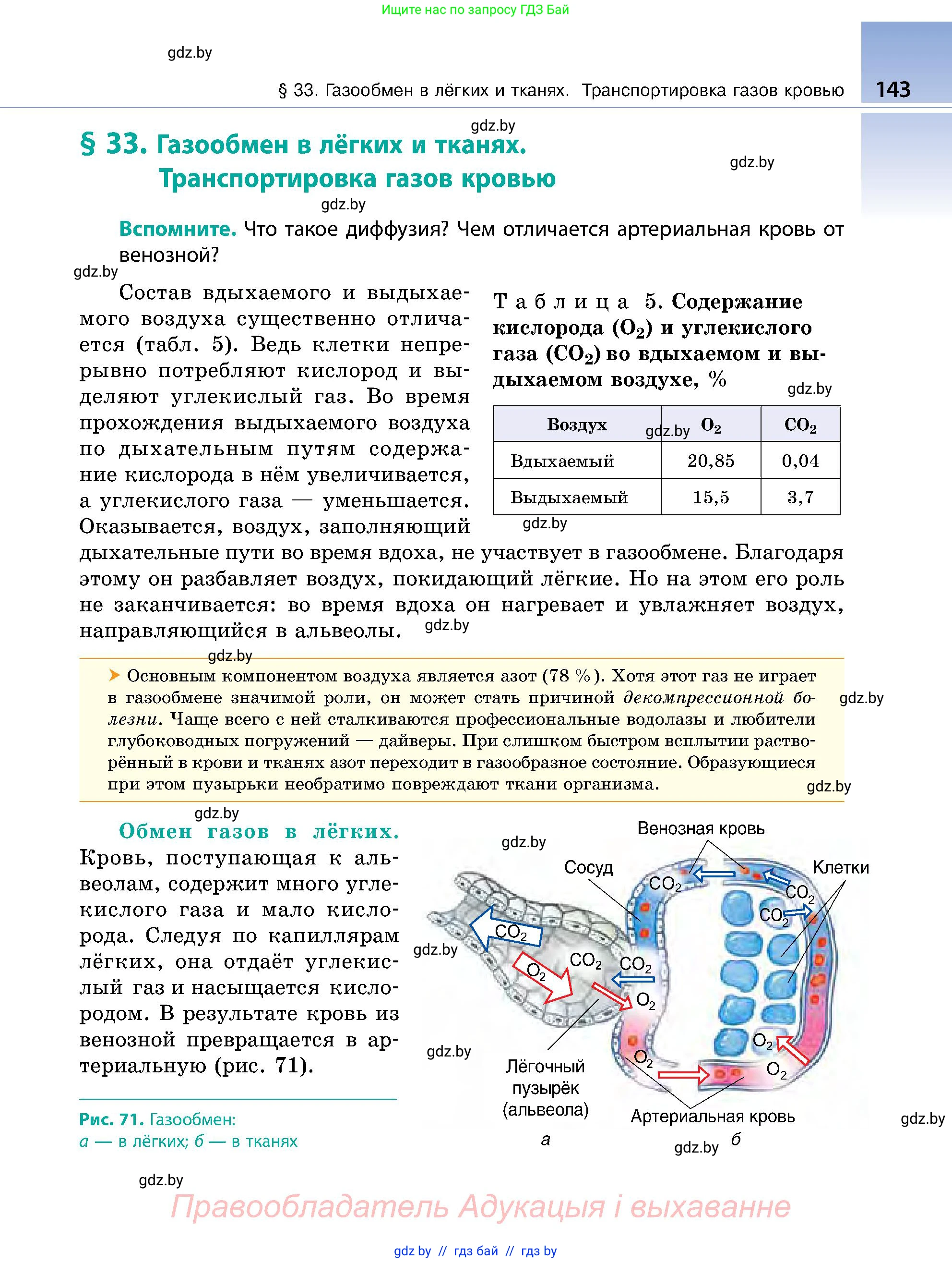 Биология, 9 класс Учебник, авторы: Борисов Олег Леонидович, Антипенко Алеся Анатольевна, Рогожников Олег Николаевич, издательство Адукацыя i выхаванне, Минск, 2025, бирюзового цвета, страница 143
