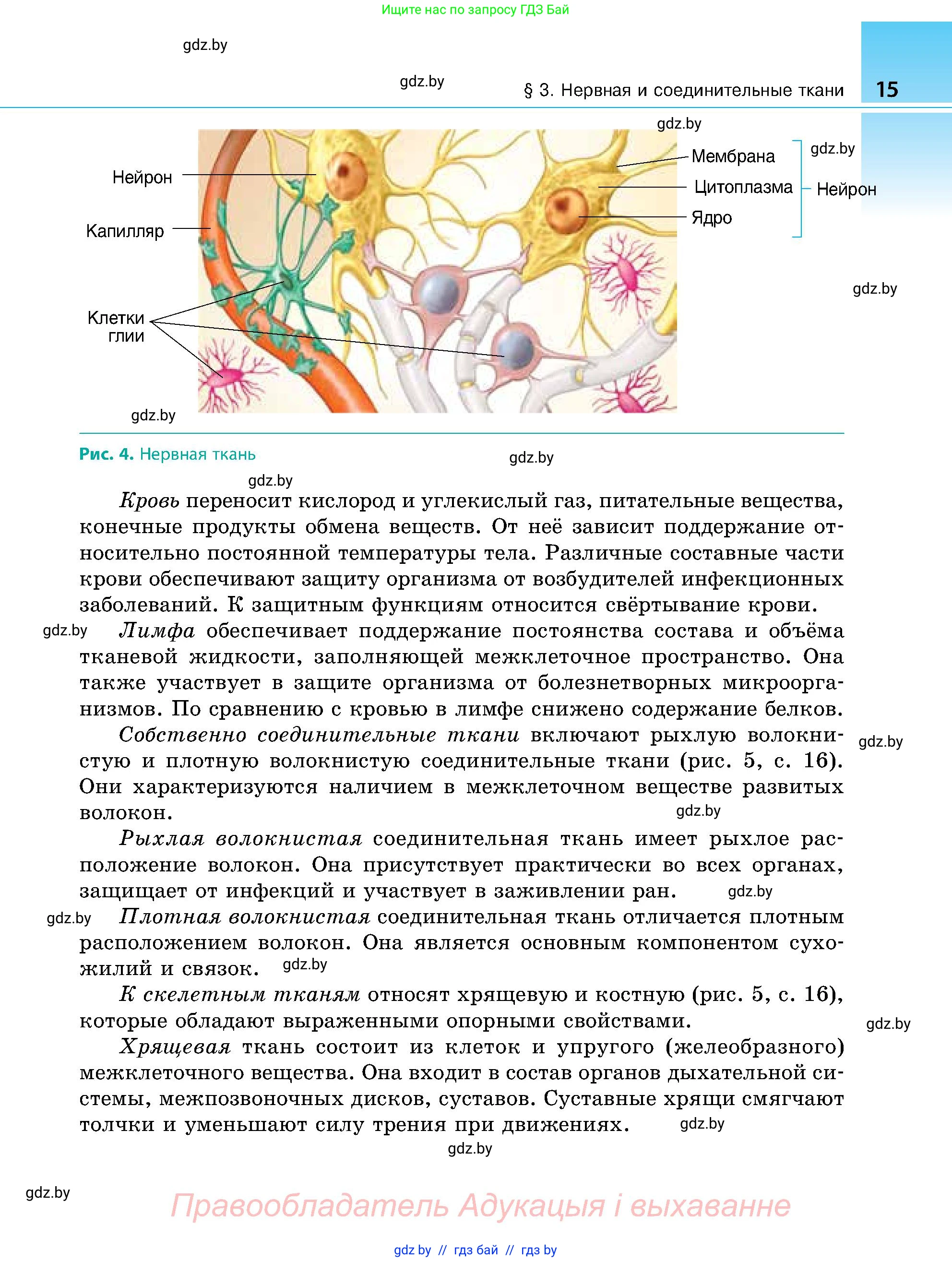 Биология, 9 класс Учебник, авторы: Борисов Олег Леонидович, Антипенко Алеся Анатольевна, Рогожников Олег Николаевич, издательство Адукацыя i выхаванне, Минск, 2025, бирюзового цвета, страница 15