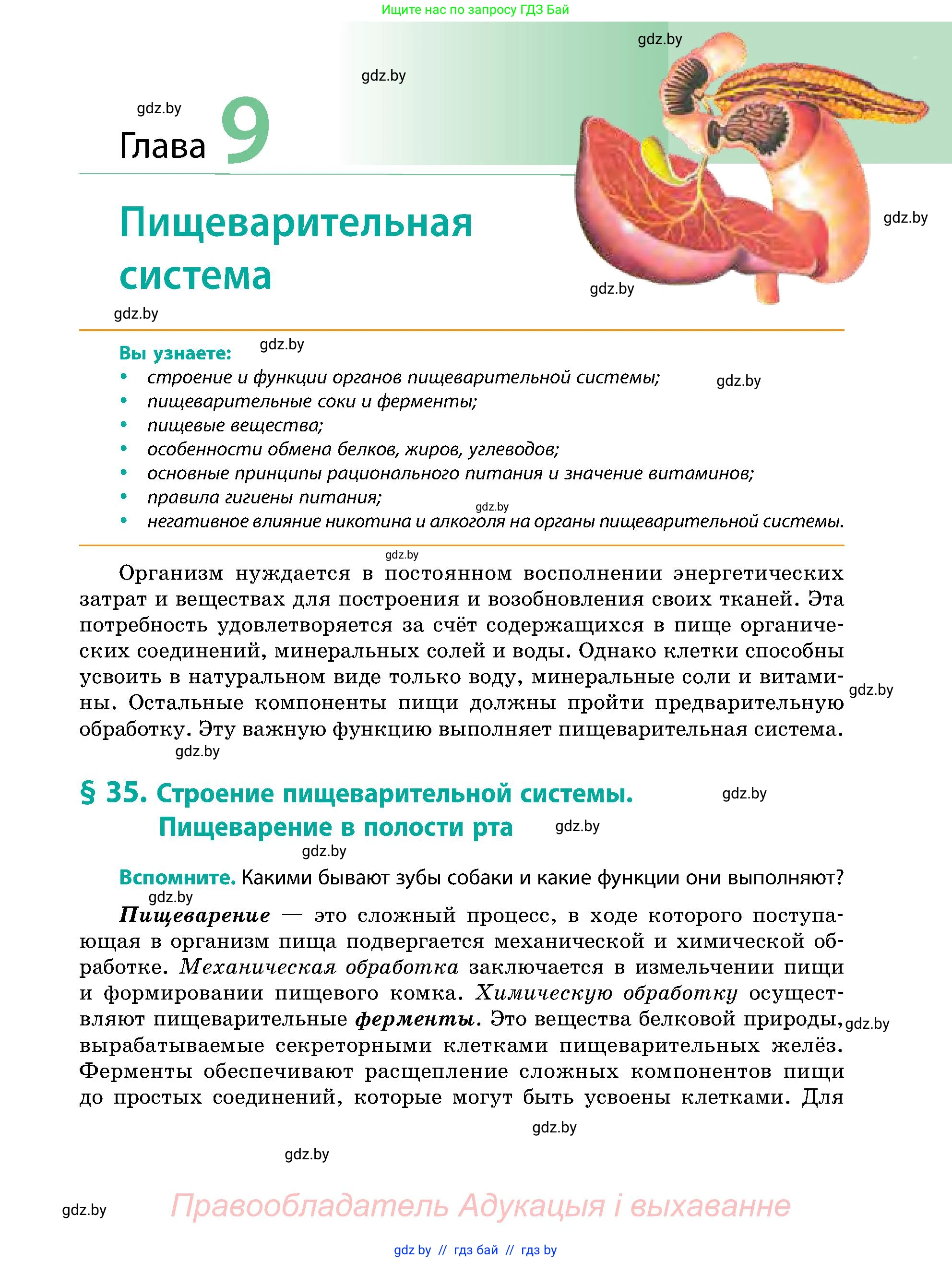 Биология, 9 класс Учебник, авторы: Борисов Олег Леонидович, Антипенко Алеся Анатольевна, Рогожников Олег Николаевич, издательство Адукацыя i выхаванне, Минск, 2025, бирюзового цвета, страница 151