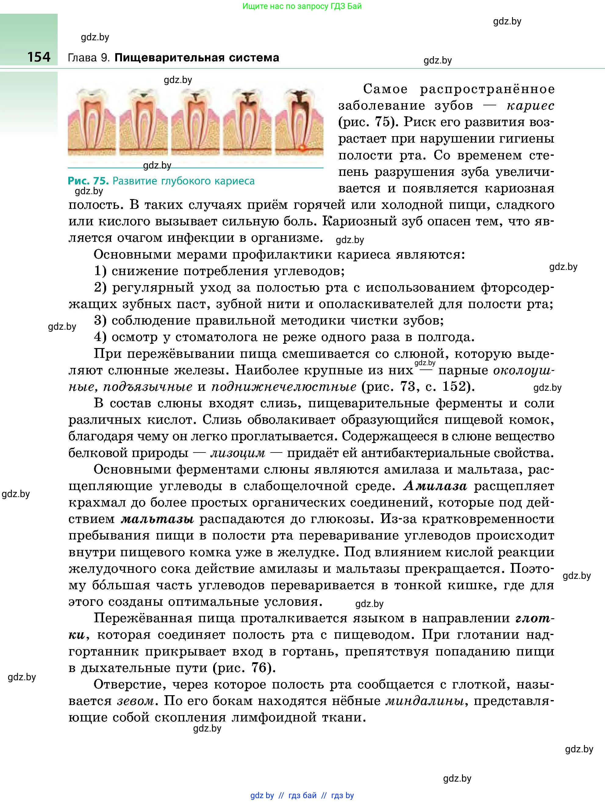 Биология, 9 класс Учебник, авторы: Борисов Олег Леонидович, Антипенко Алеся Анатольевна, Рогожников Олег Николаевич, издательство Адукацыя i выхаванне, Минск, 2025, бирюзового цвета, страница 154