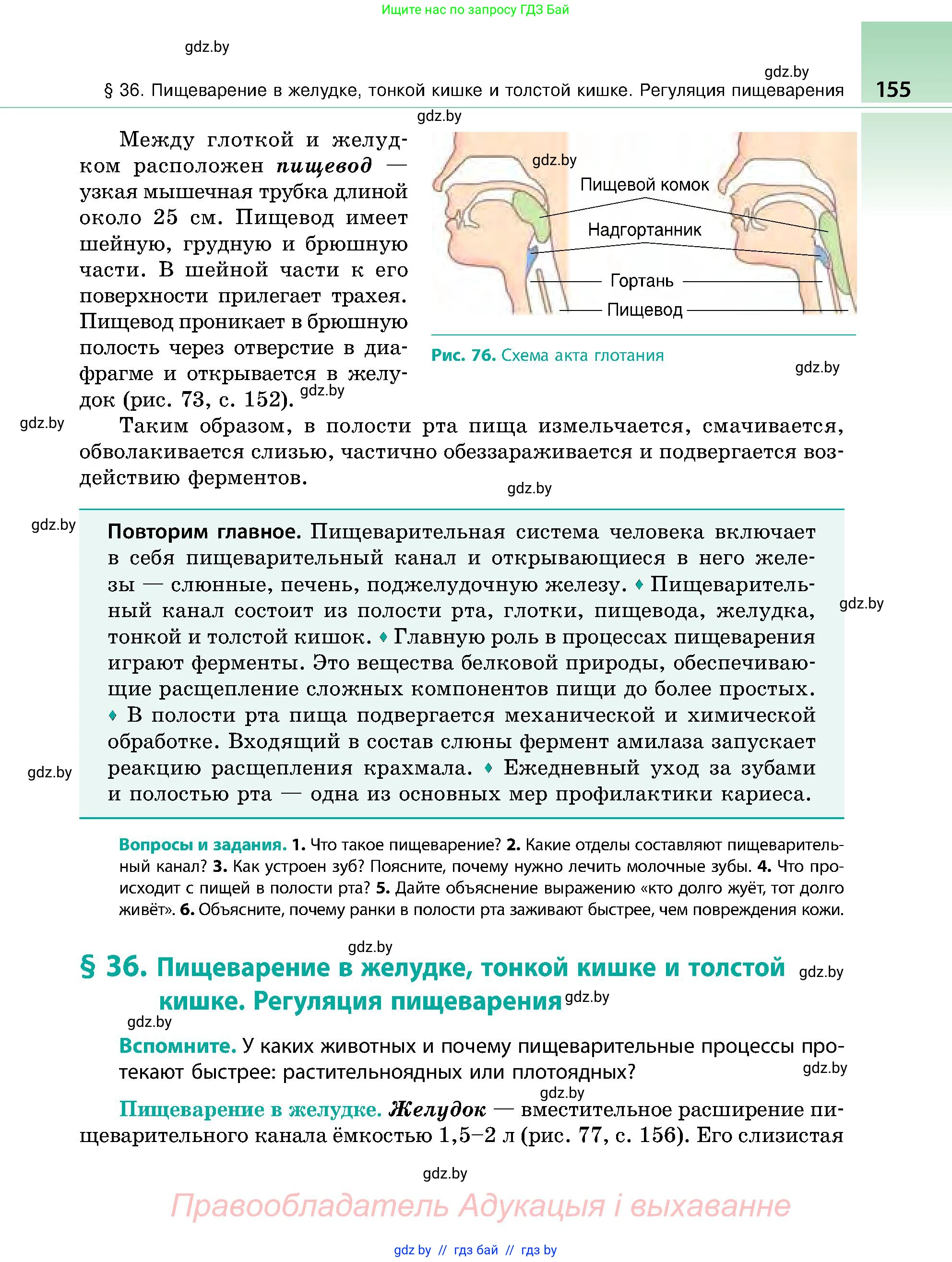 Биология, 9 класс Учебник, авторы: Борисов Олег Леонидович, Антипенко Алеся Анатольевна, Рогожников Олег Николаевич, издательство Адукацыя i выхаванне, Минск, 2025, бирюзового цвета, страница 155
