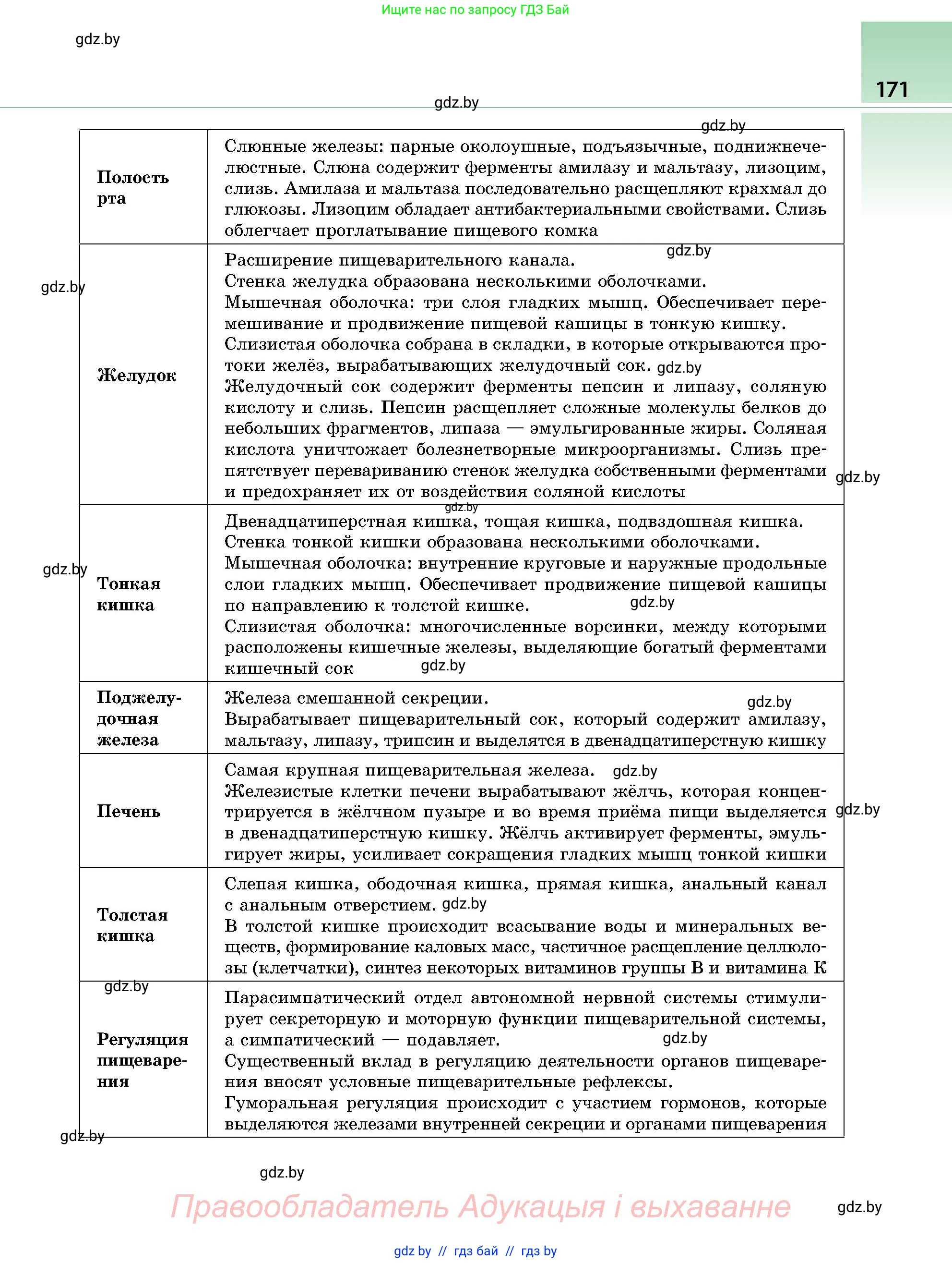 Биология, 9 класс Учебник, авторы: Борисов Олег Леонидович, Антипенко Алеся Анатольевна, Рогожников Олег Николаевич, издательство Адукацыя i выхаванне, Минск, 2025, бирюзового цвета, страница 171