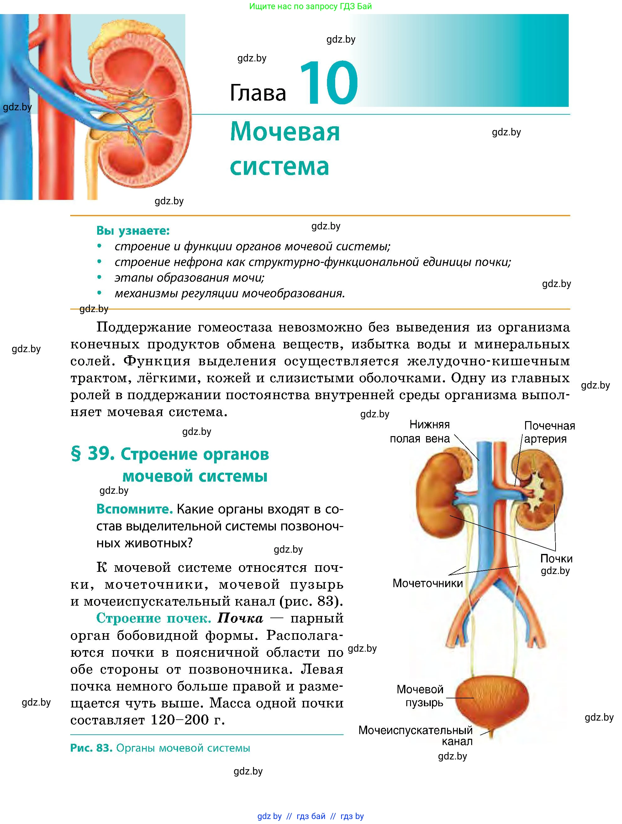 Биология, 9 класс Учебник, авторы: Борисов Олег Леонидович, Антипенко Алеся Анатольевна, Рогожников Олег Николаевич, издательство Адукацыя i выхаванне, Минск, 2025, бирюзового цвета, страница 172