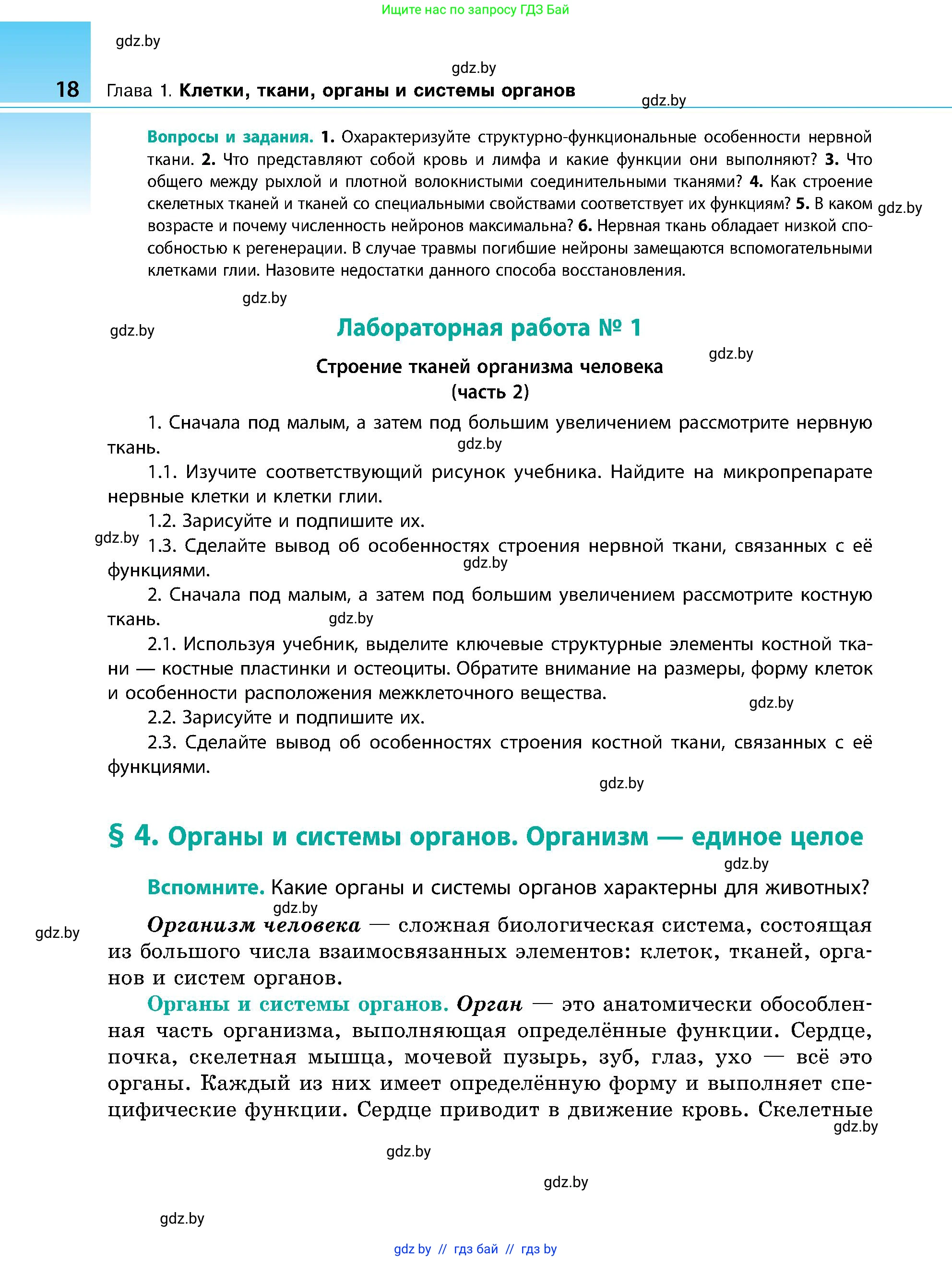 Биология, 9 класс Учебник, авторы: Борисов Олег Леонидович, Антипенко Алеся Анатольевна, Рогожников Олег Николаевич, издательство Адукацыя i выхаванне, Минск, 2025, бирюзового цвета, страница 18