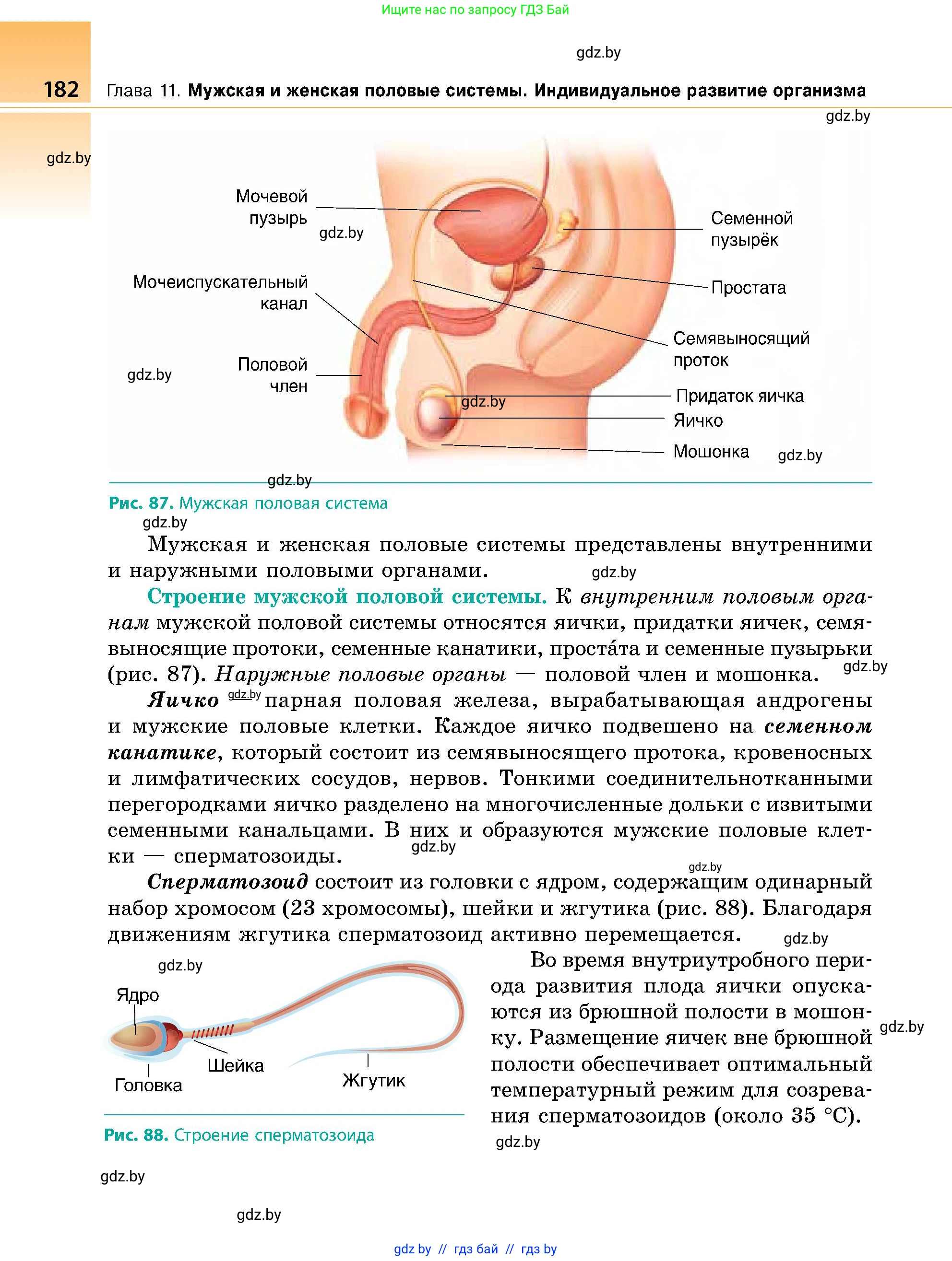 Биология, 9 класс Учебник, авторы: Борисов Олег Леонидович, Антипенко Алеся Анатольевна, Рогожников Олег Николаевич, издательство Адукацыя i выхаванне, Минск, 2025, бирюзового цвета, страница 182