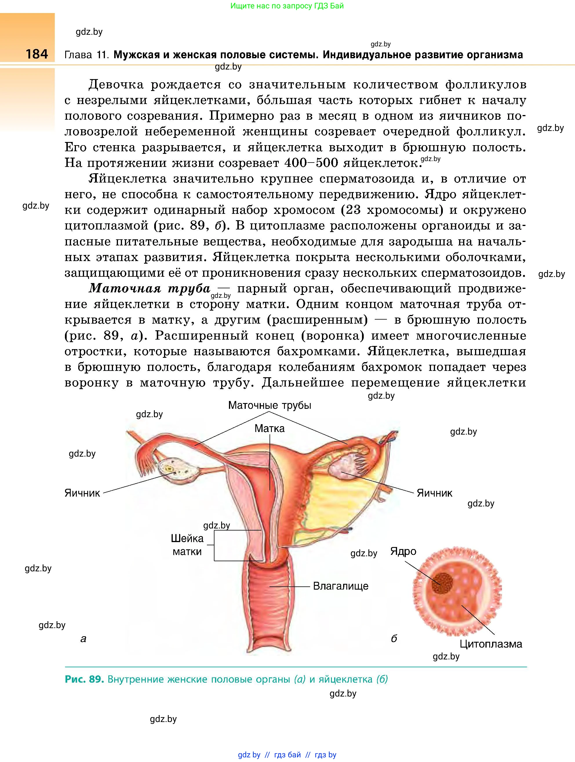Биология, 9 класс Учебник, авторы: Борисов Олег Леонидович, Антипенко Алеся Анатольевна, Рогожников Олег Николаевич, издательство Адукацыя i выхаванне, Минск, 2025, бирюзового цвета, страница 184