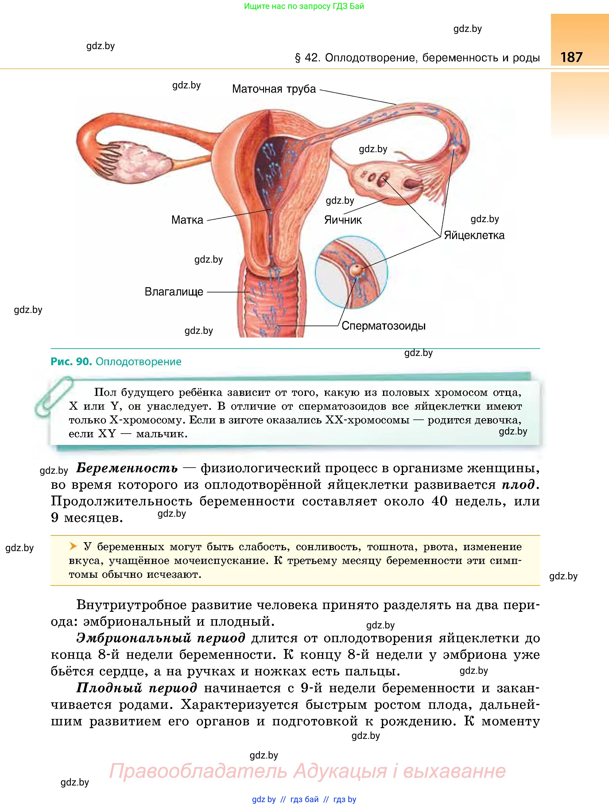 Биология, 9 класс Учебник, авторы: Борисов Олег Леонидович, Антипенко Алеся Анатольевна, Рогожников Олег Николаевич, издательство Адукацыя i выхаванне, Минск, 2025, бирюзового цвета, страница 187