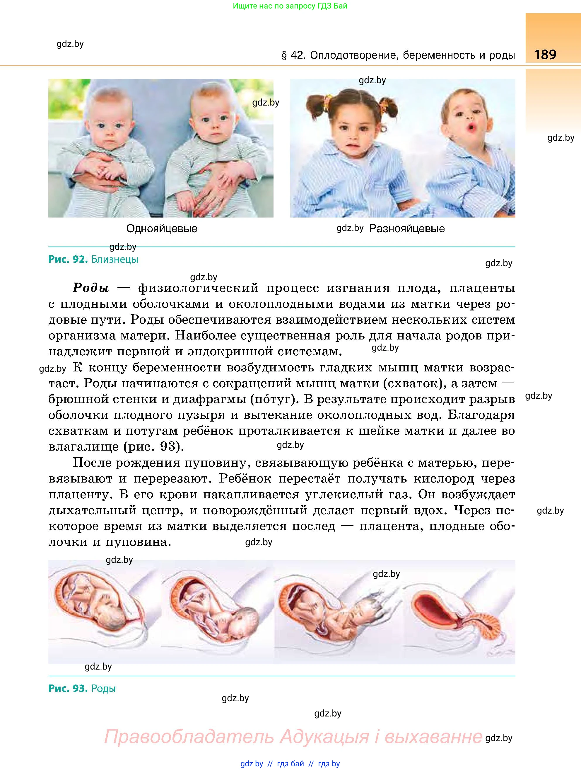 Биология, 9 класс Учебник, авторы: Борисов Олег Леонидович, Антипенко Алеся Анатольевна, Рогожников Олег Николаевич, издательство Адукацыя i выхаванне, Минск, 2025, бирюзового цвета, страница 189