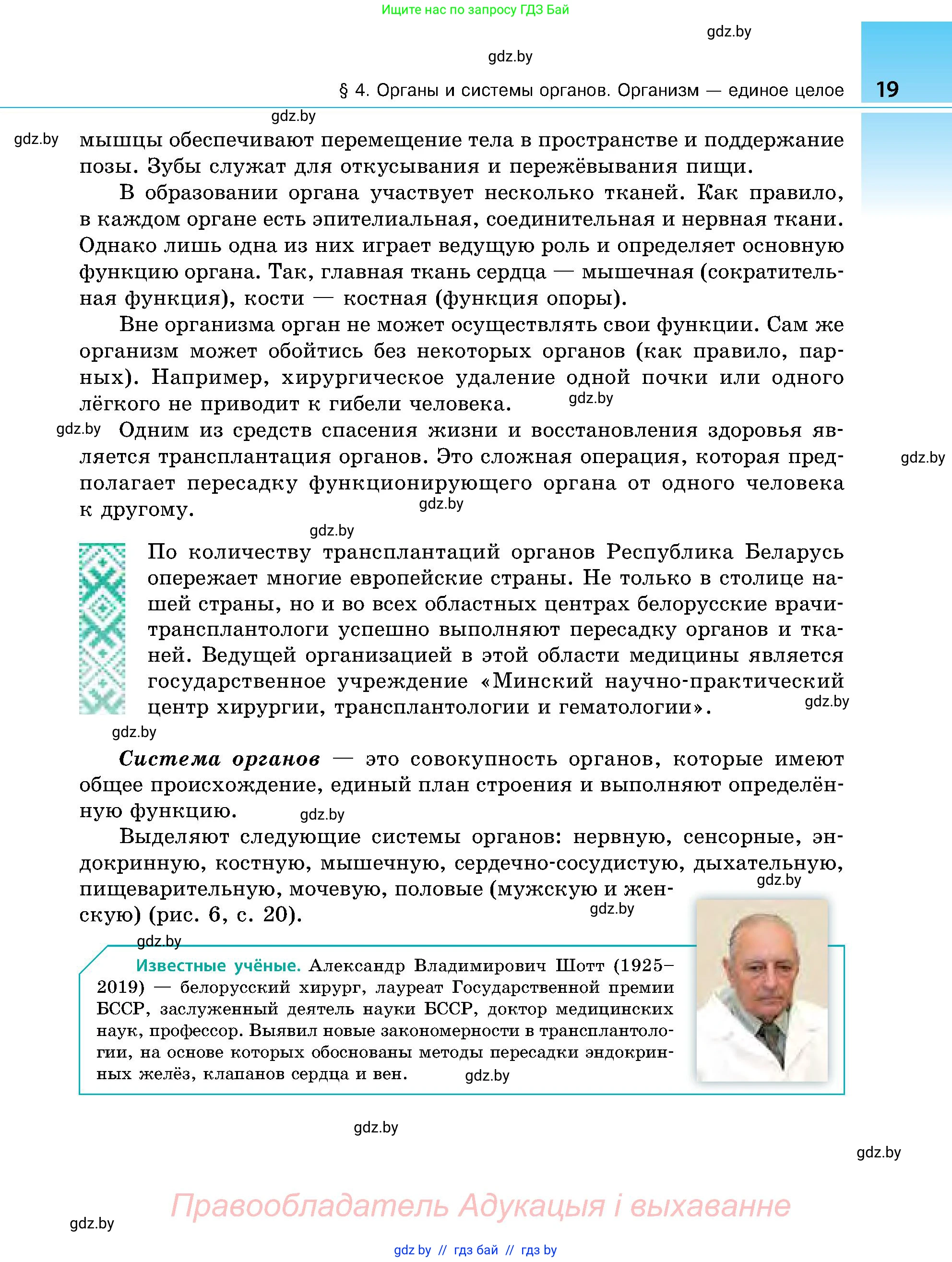 Биология, 9 класс Учебник, авторы: Борисов Олег Леонидович, Антипенко Алеся Анатольевна, Рогожников Олег Николаевич, издательство Адукацыя i выхаванне, Минск, 2025, бирюзового цвета, страница 19