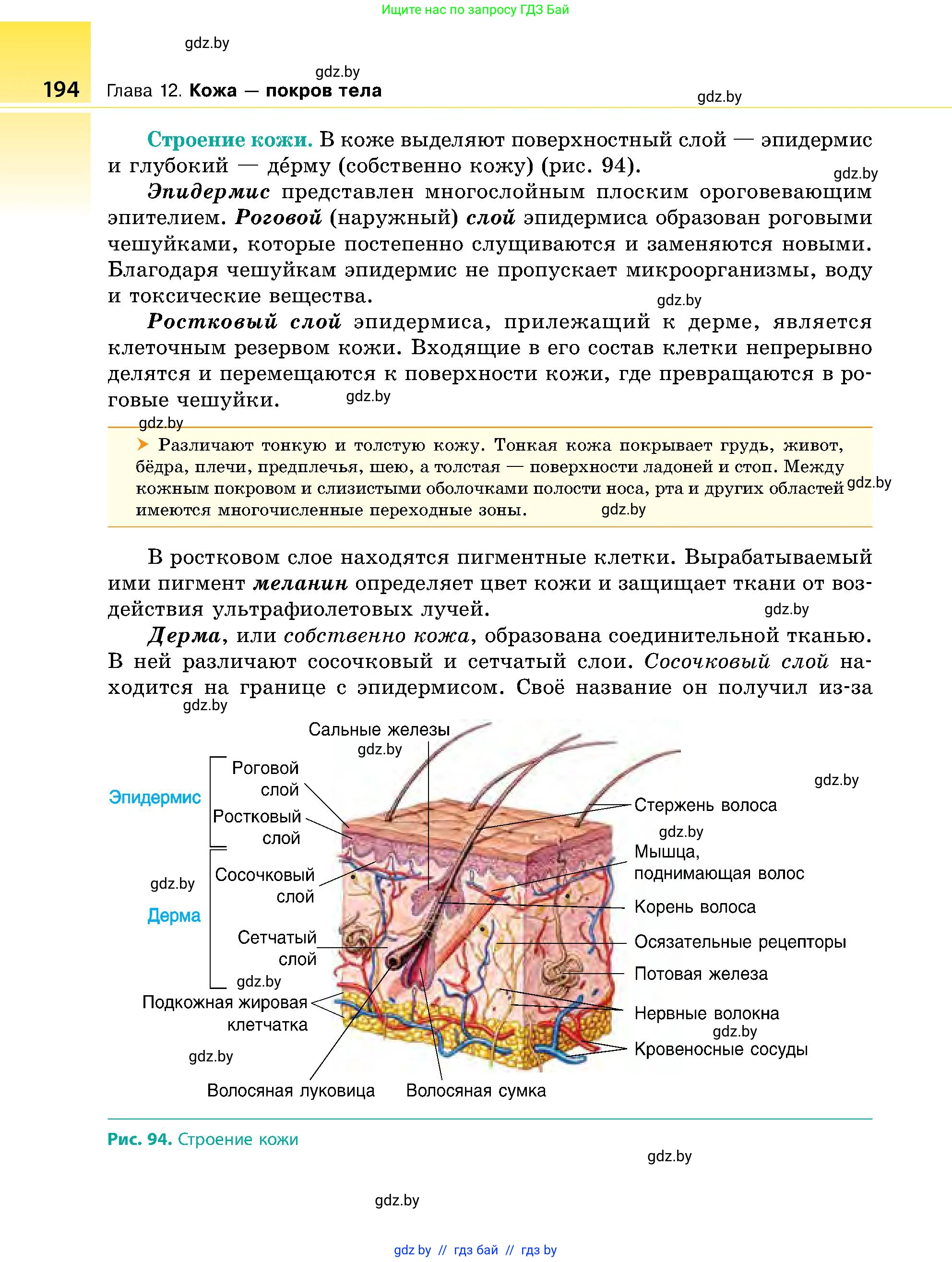 Биология, 9 класс Учебник, авторы: Борисов Олег Леонидович, Антипенко Алеся Анатольевна, Рогожников Олег Николаевич, издательство Адукацыя i выхаванне, Минск, 2025, бирюзового цвета, страница 194