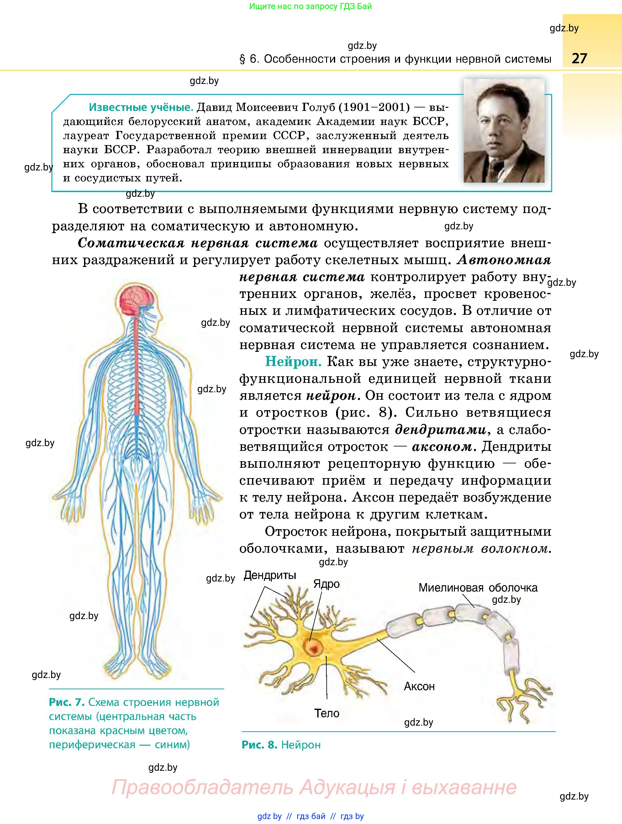 Биология, 9 класс Учебник, авторы: Борисов Олег Леонидович, Антипенко Алеся Анатольевна, Рогожников Олег Николаевич, издательство Адукацыя i выхаванне, Минск, 2025, бирюзового цвета, страница 27
