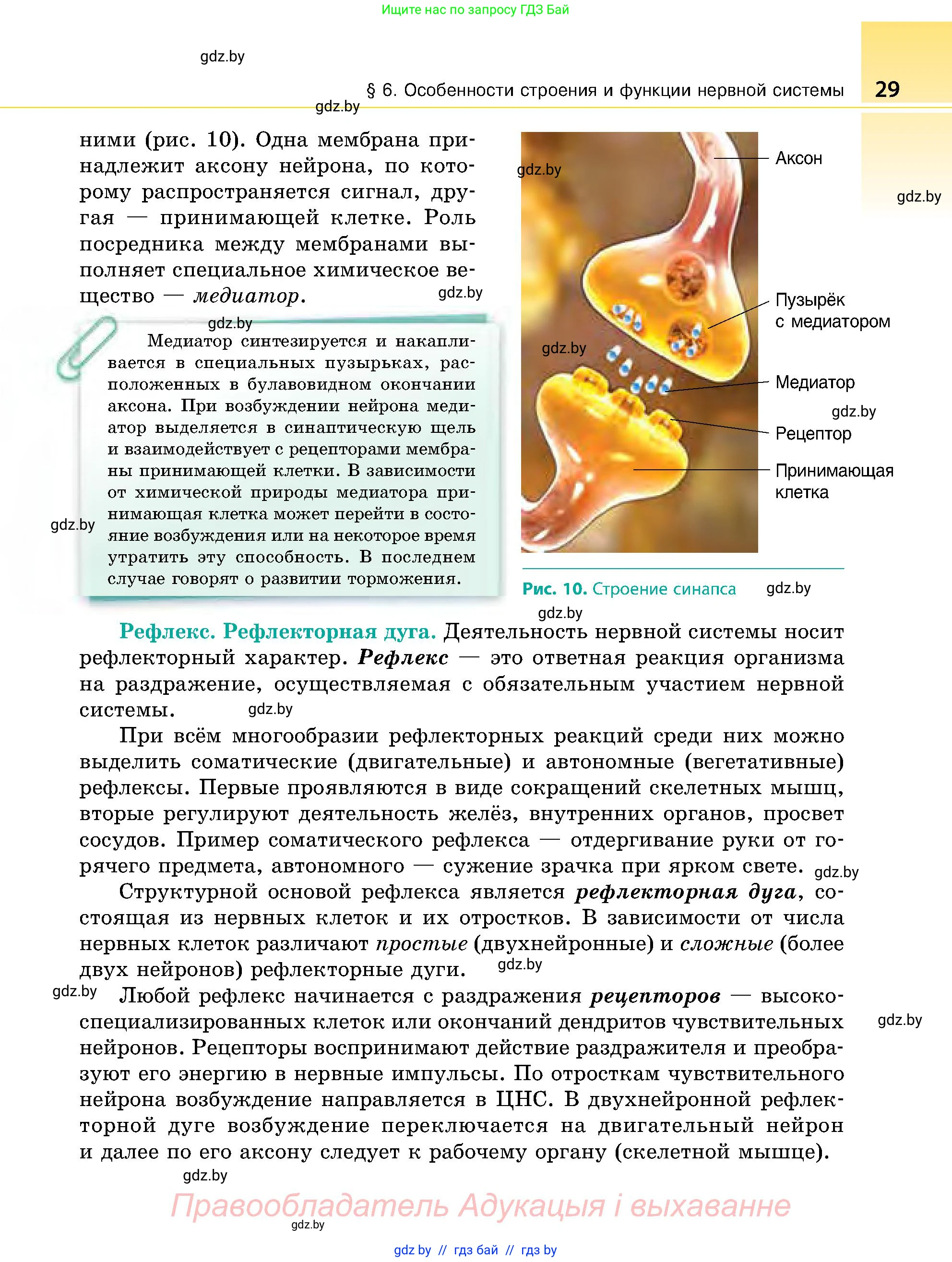 Биология, 9 класс Учебник, авторы: Борисов Олег Леонидович, Антипенко Алеся Анатольевна, Рогожников Олег Николаевич, издательство Адукацыя i выхаванне, Минск, 2025, бирюзового цвета, страница 29