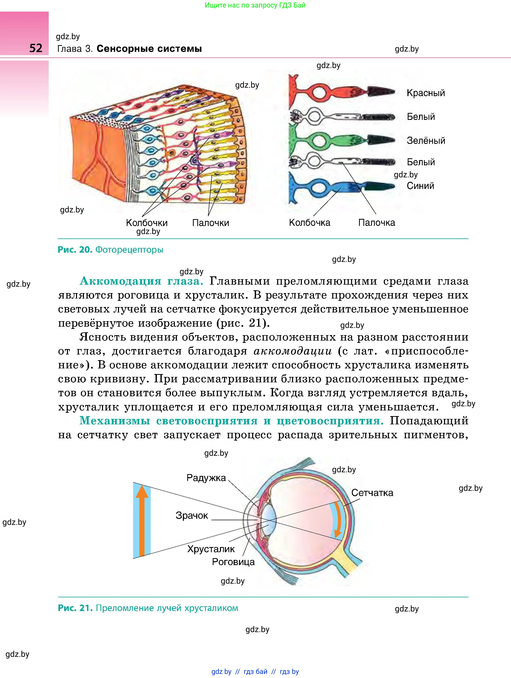Биология, 9 класс Учебник, авторы: Борисов Олег Леонидович, Антипенко Алеся Анатольевна, Рогожников Олег Николаевич, издательство Адукацыя i выхаванне, Минск, 2025, бирюзового цвета, страница 52