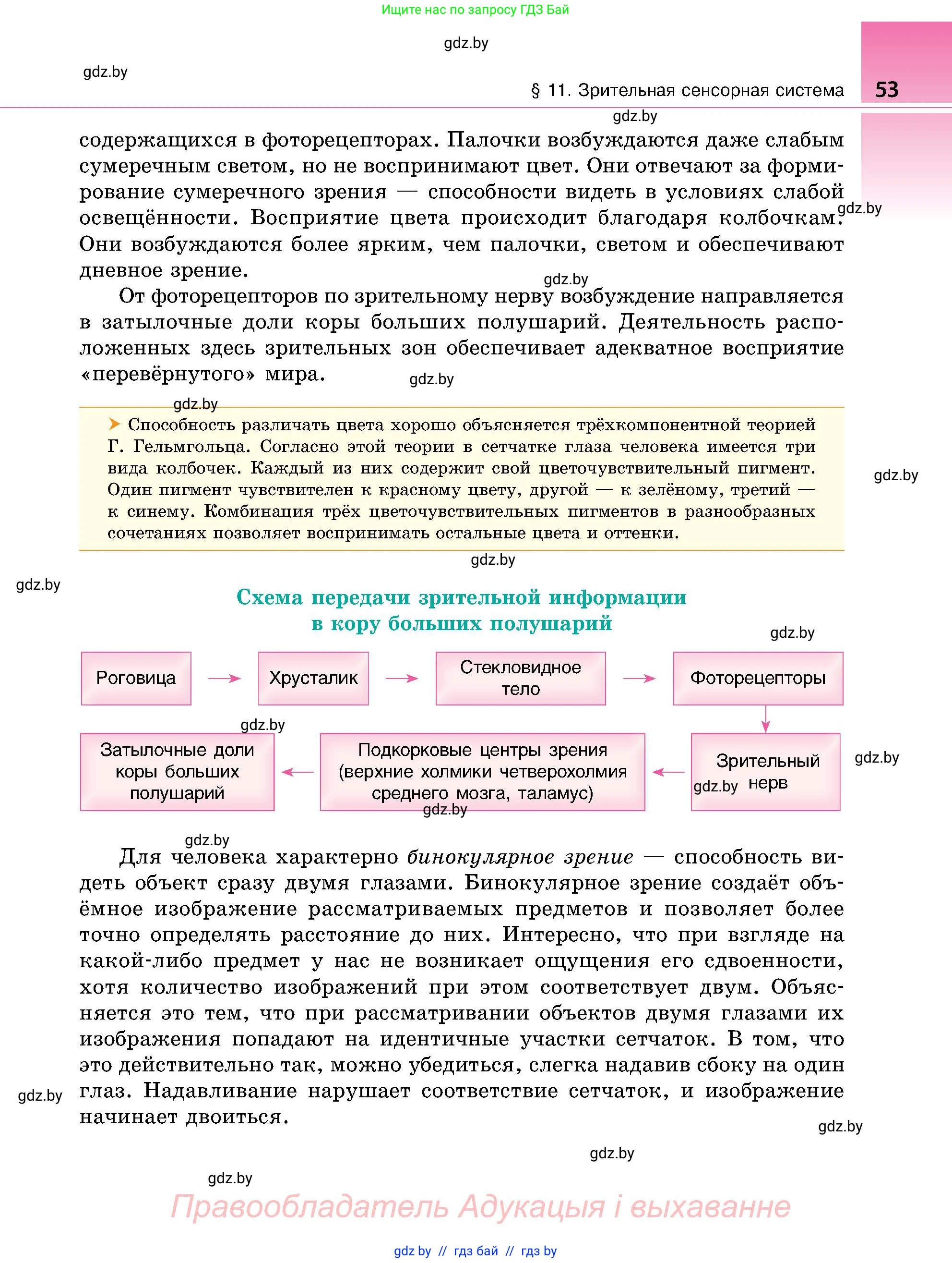 Биология, 9 класс Учебник, авторы: Борисов Олег Леонидович, Антипенко Алеся Анатольевна, Рогожников Олег Николаевич, издательство Адукацыя i выхаванне, Минск, 2025, бирюзового цвета, страница 53
