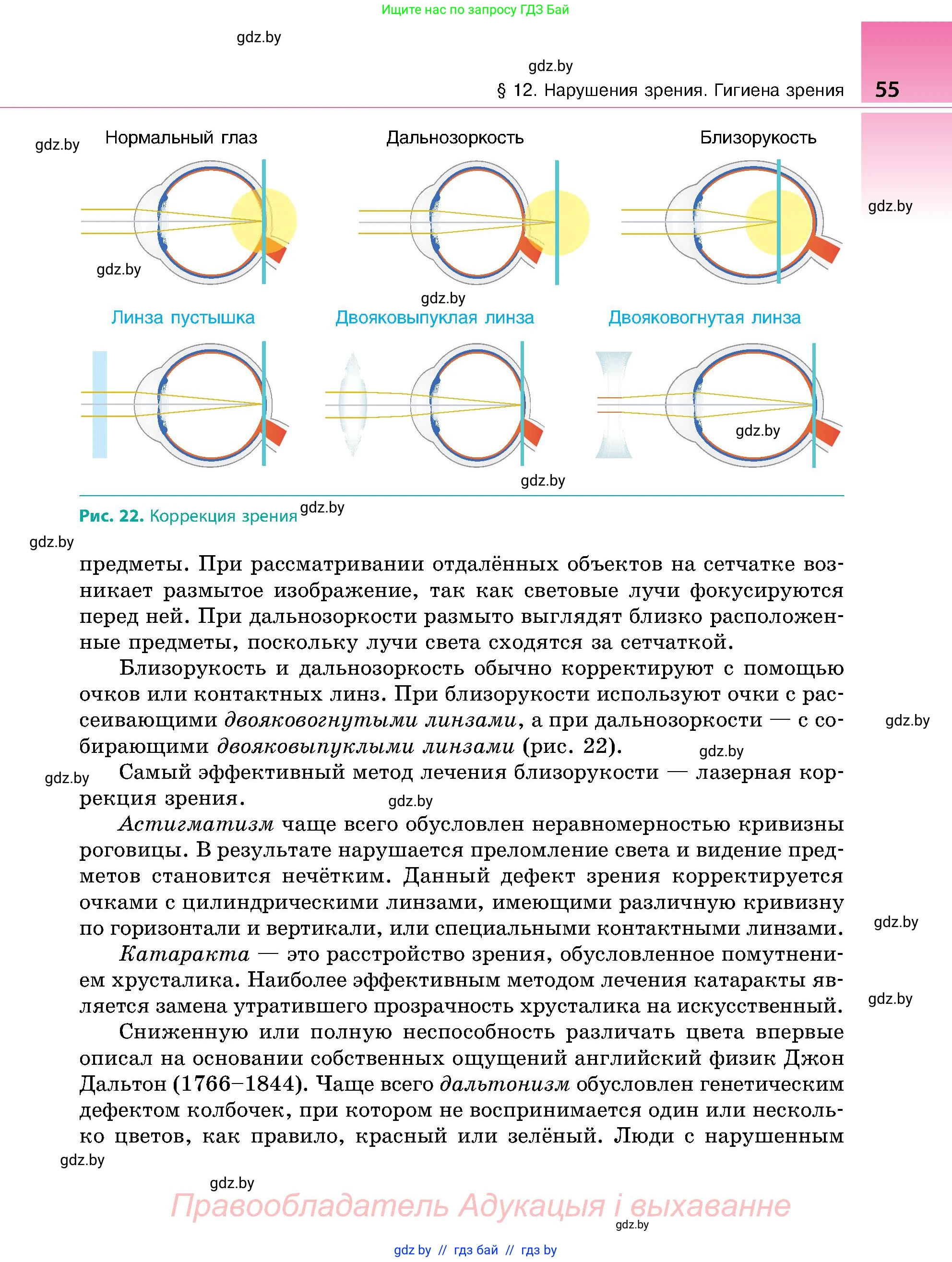 Биология, 9 класс Учебник, авторы: Борисов Олег Леонидович, Антипенко Алеся Анатольевна, Рогожников Олег Николаевич, издательство Адукацыя i выхаванне, Минск, 2025, бирюзового цвета, страница 55