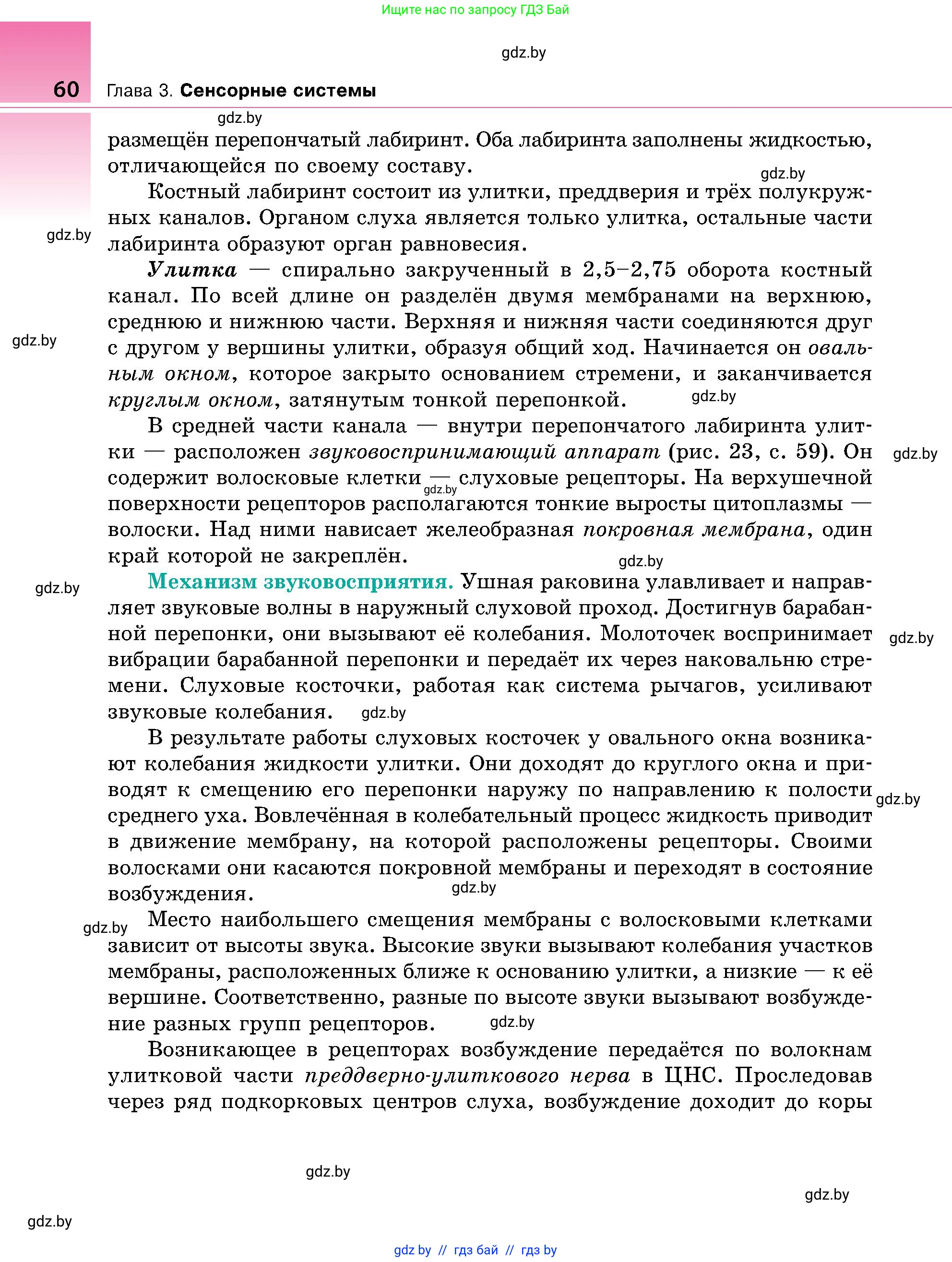 Биология, 9 класс Учебник, авторы: Борисов Олег Леонидович, Антипенко Алеся Анатольевна, Рогожников Олег Николаевич, издательство Адукацыя i выхаванне, Минск, 2025, бирюзового цвета, страница 60