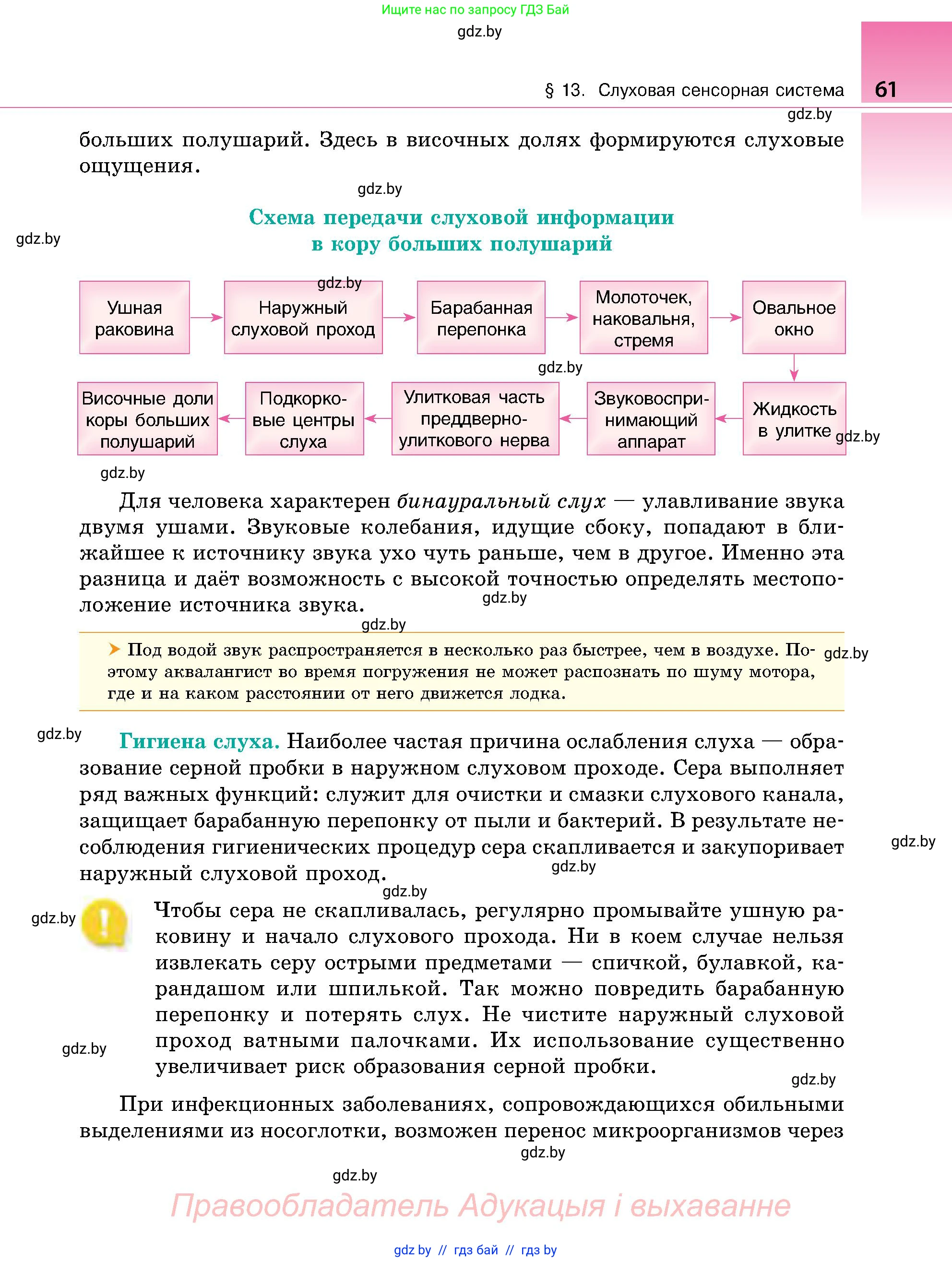 Биология, 9 класс Учебник, авторы: Борисов Олег Леонидович, Антипенко Алеся Анатольевна, Рогожников Олег Николаевич, издательство Адукацыя i выхаванне, Минск, 2025, бирюзового цвета, страница 61