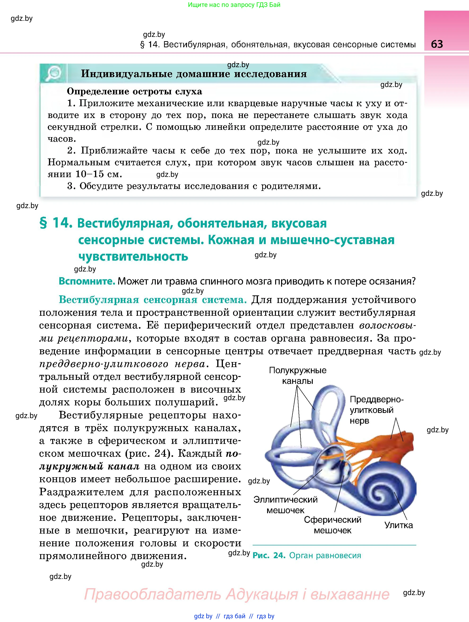 Биология, 9 класс Учебник, авторы: Борисов Олег Леонидович, Антипенко Алеся Анатольевна, Рогожников Олег Николаевич, издательство Адукацыя i выхаванне, Минск, 2025, бирюзового цвета, страница 63