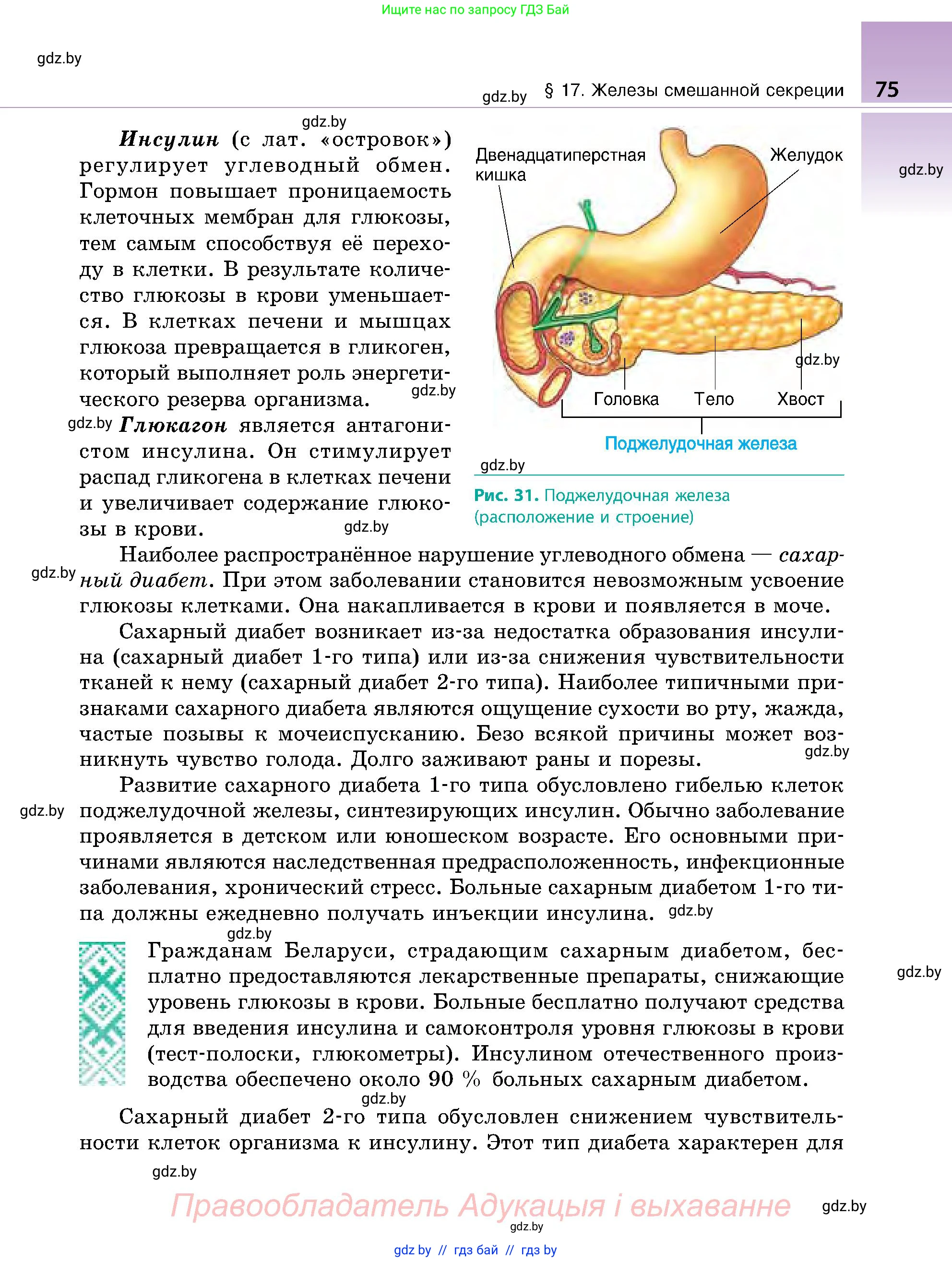 Биология, 9 класс Учебник, авторы: Борисов Олег Леонидович, Антипенко Алеся Анатольевна, Рогожников Олег Николаевич, издательство Адукацыя i выхаванне, Минск, 2025, бирюзового цвета, страница 75