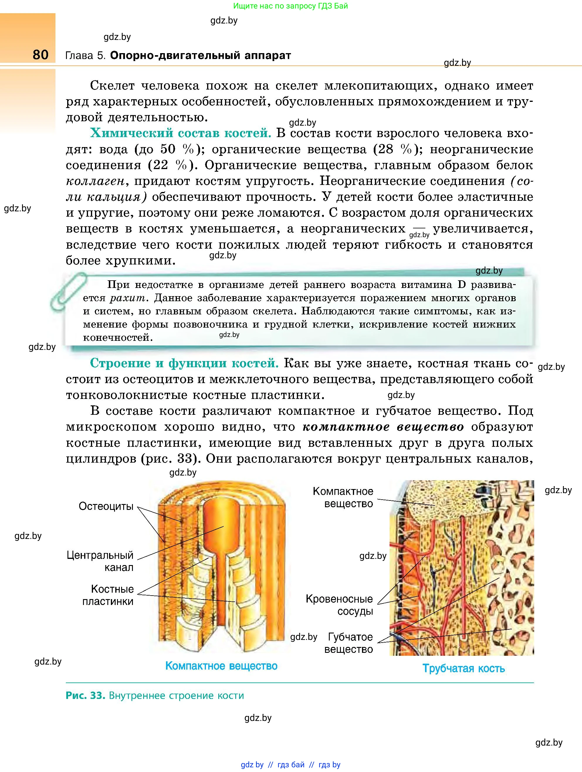 Биология, 9 класс Учебник, авторы: Борисов Олег Леонидович, Антипенко Алеся Анатольевна, Рогожников Олег Николаевич, издательство Адукацыя i выхаванне, Минск, 2025, бирюзового цвета, страница 80