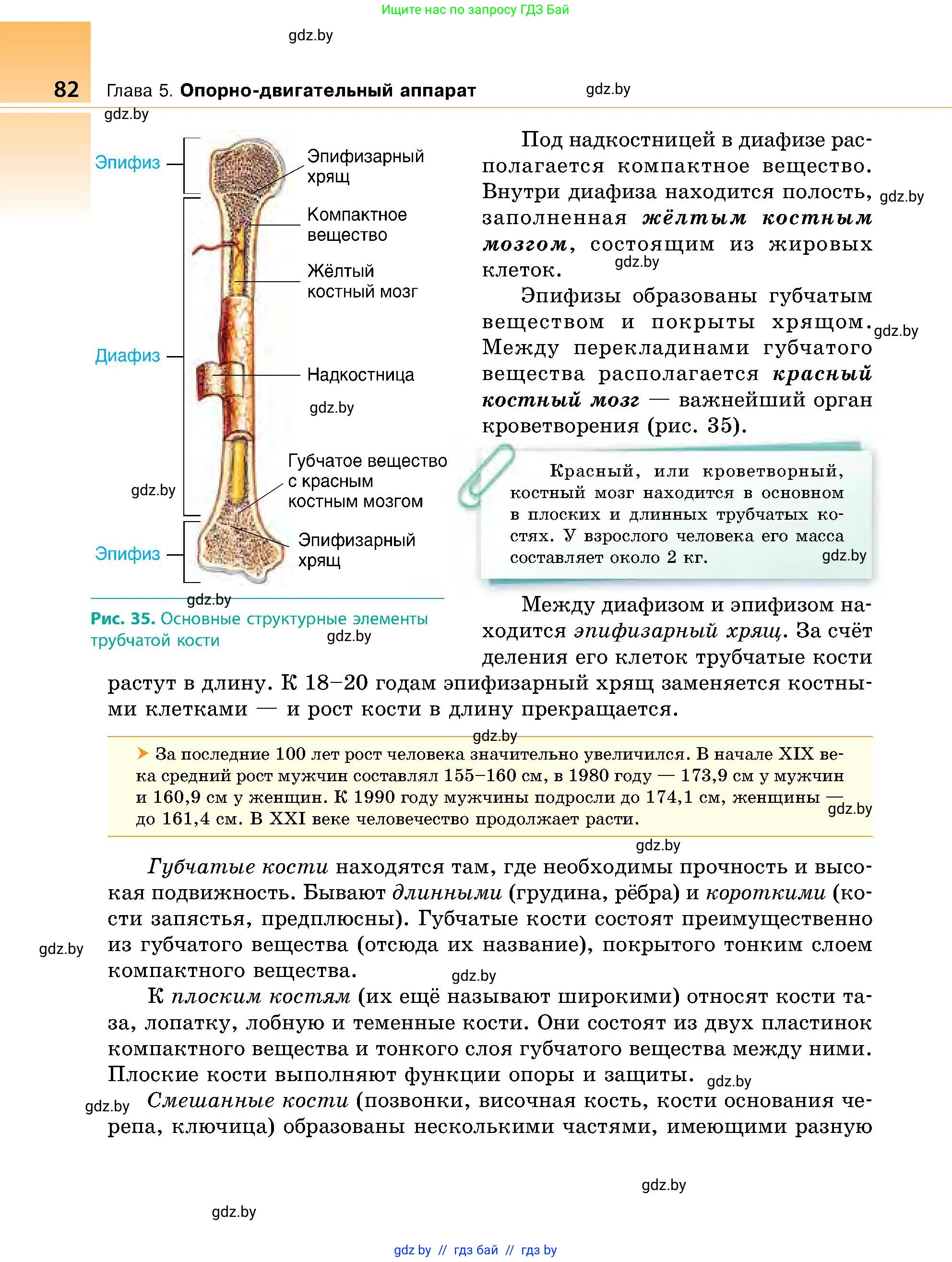 Биология, 9 класс Учебник, авторы: Борисов Олег Леонидович, Антипенко Алеся Анатольевна, Рогожников Олег Николаевич, издательство Адукацыя i выхаванне, Минск, 2025, бирюзового цвета, страница 82